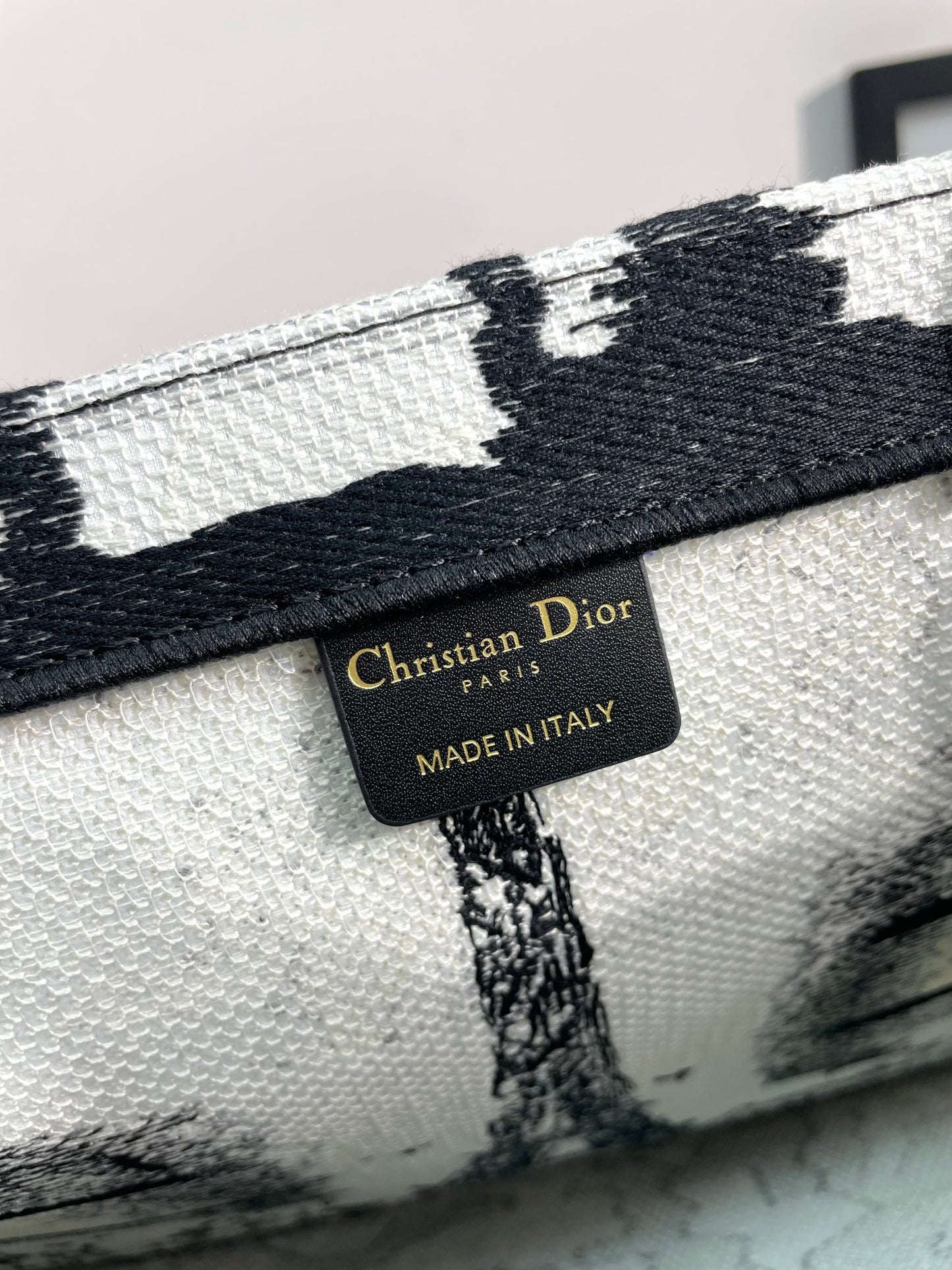 Christian Dior Medium Book Tote Bag with Black and White Plan de Paris Embroidery
