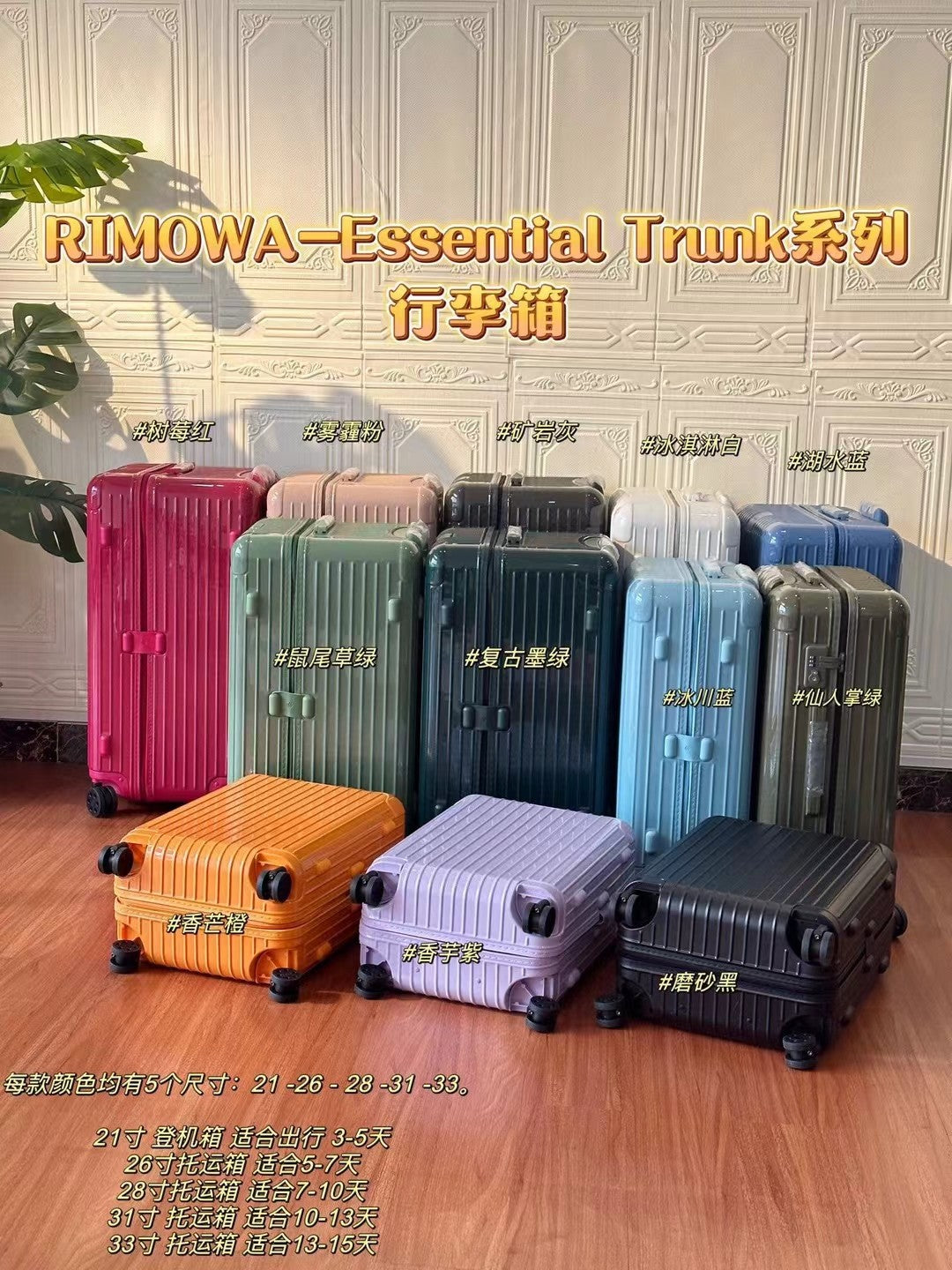 Colorful Hardshell Spinner Luggage Trunk Travel Suitcase