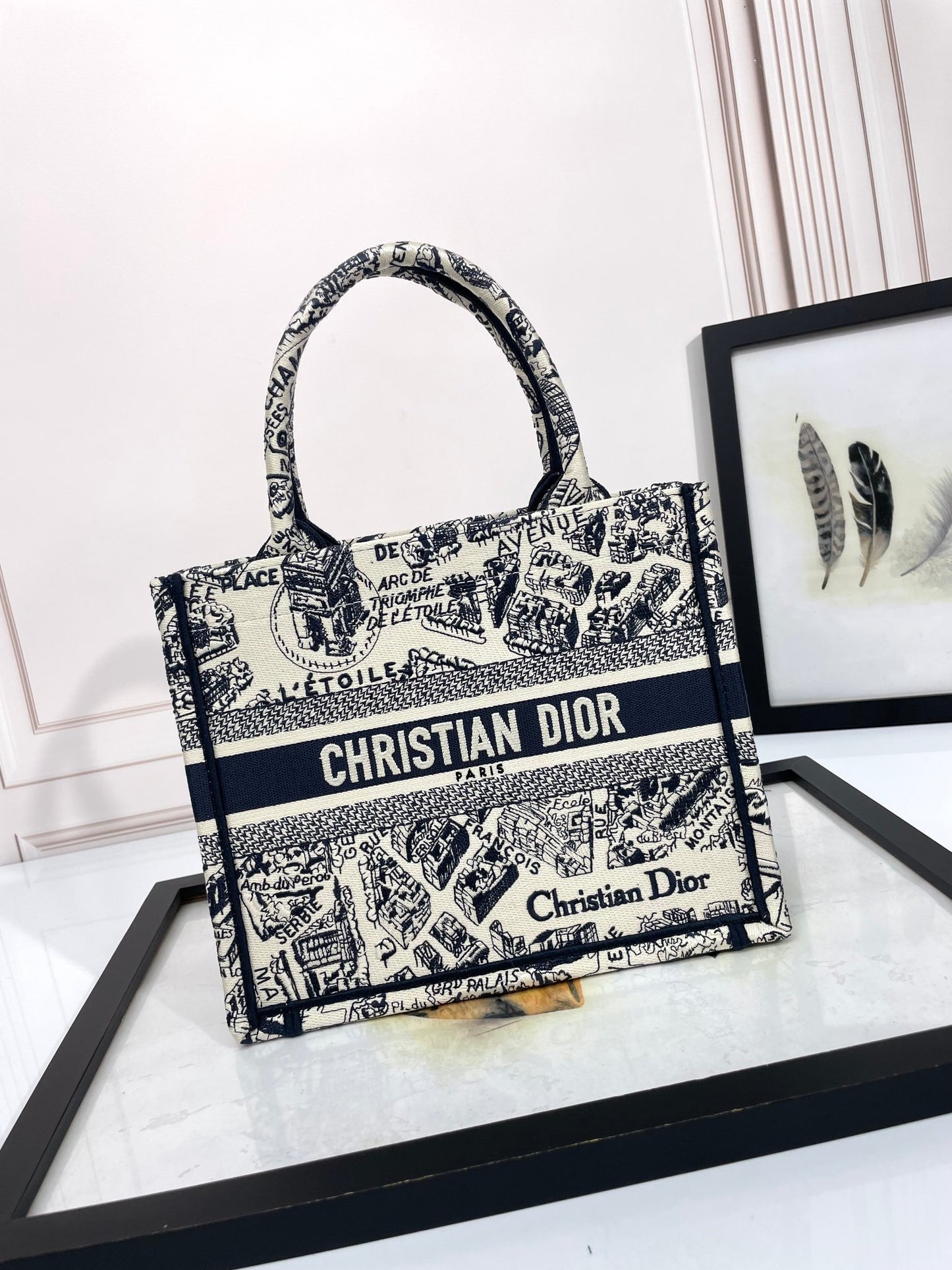 Christian Dior Medium Book Tote - Plan de Paris White and Navy Blue Embroidery