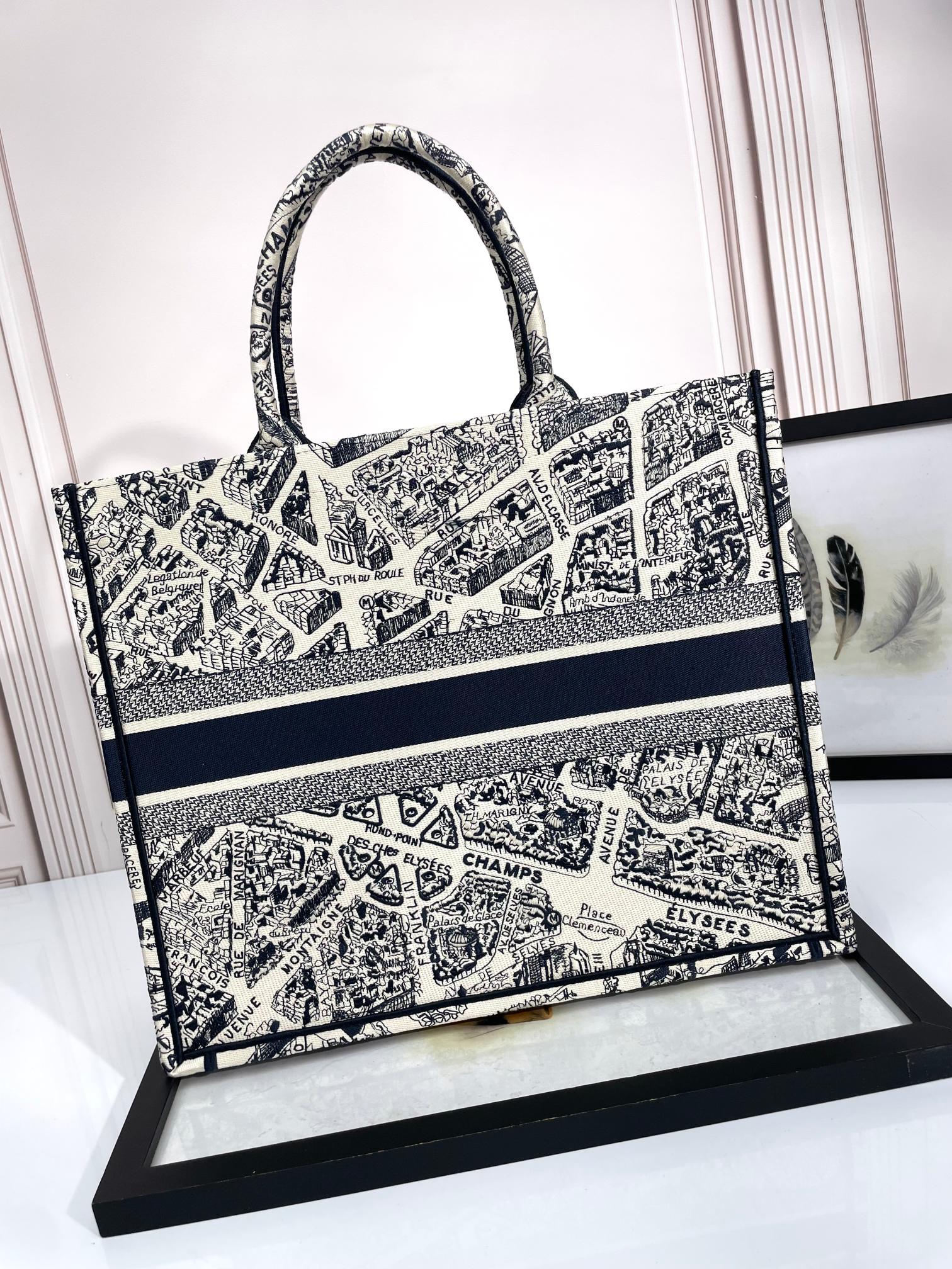 Christian Dior Large Book Tote Bag in Plan de Paris Embroidery - Luxury Designer Handbag