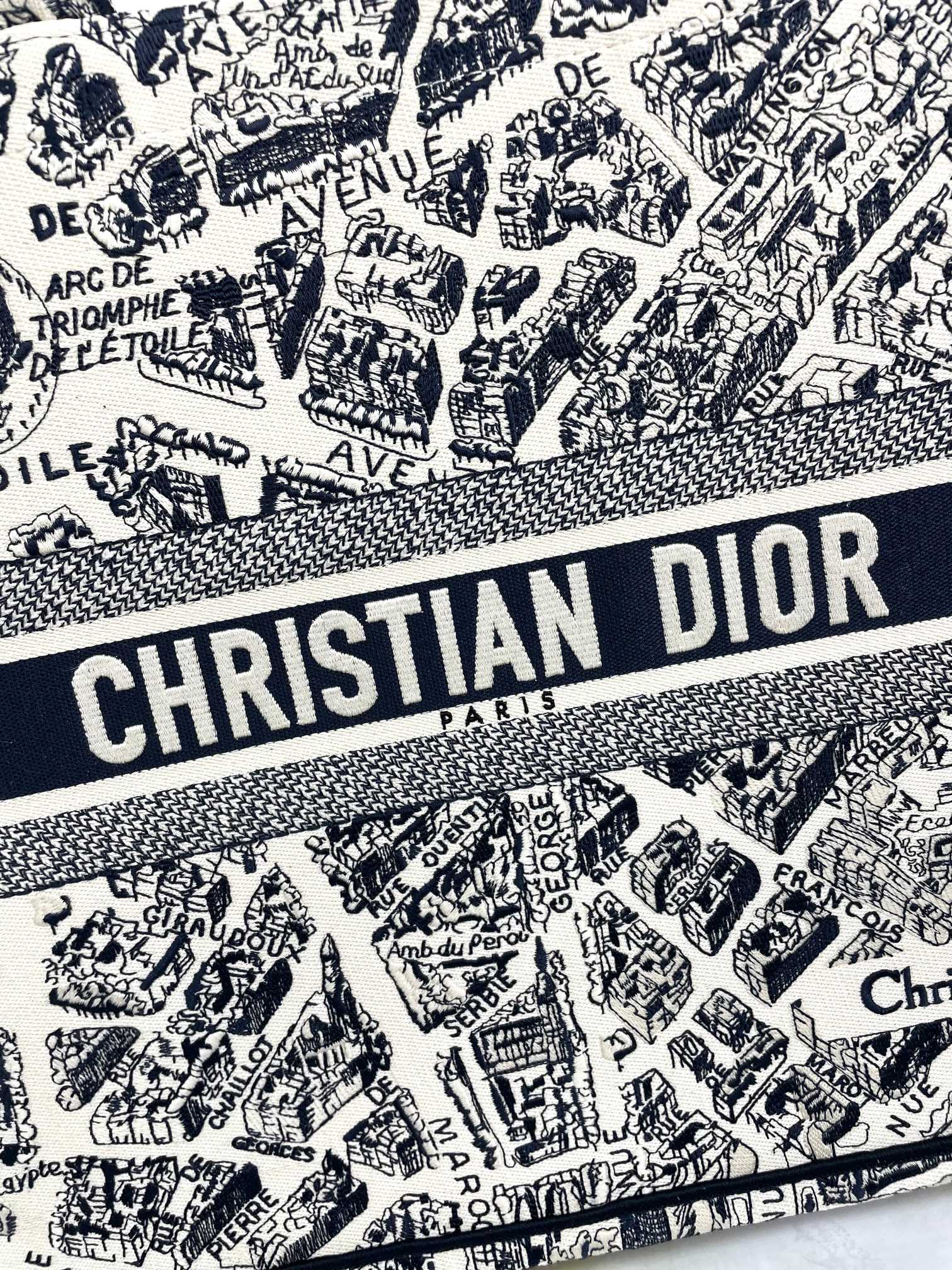 Christian Dior Large Book Tote Bag in Plan de Paris Embroidery - Luxury Designer Handbag