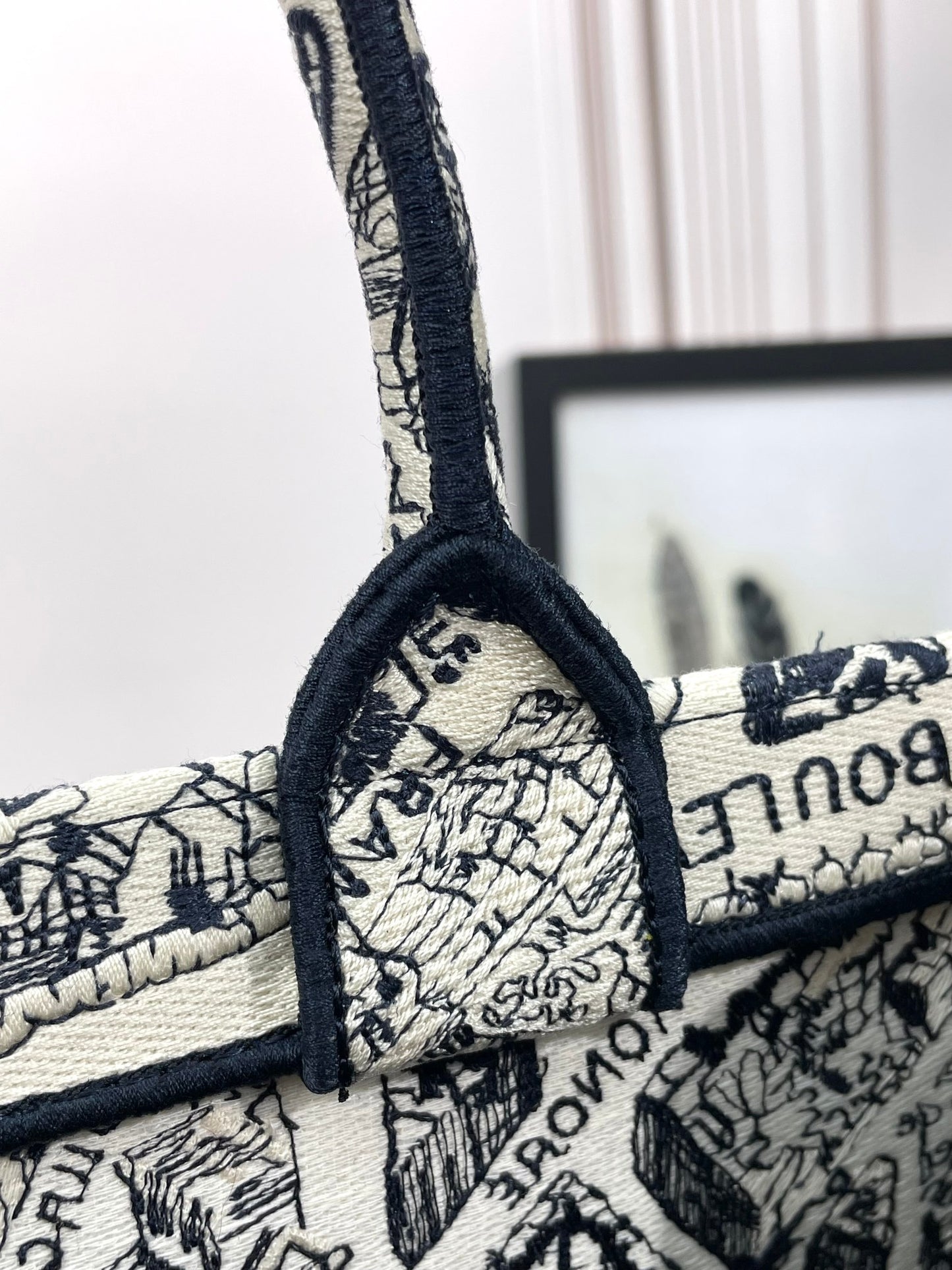 Christian Dior Medium Book Tote Plan de Paris Embroidery Canvas Bag