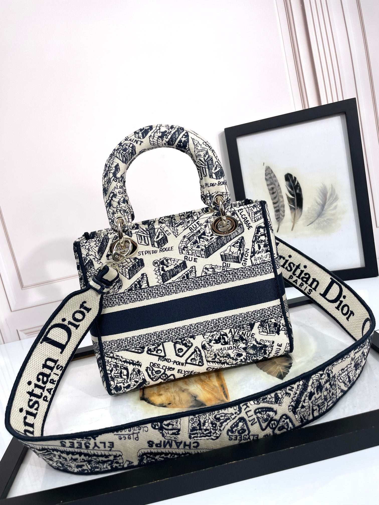 Dior Embroidered Toile Tapestry Canvas Top Handle Bag with Strap