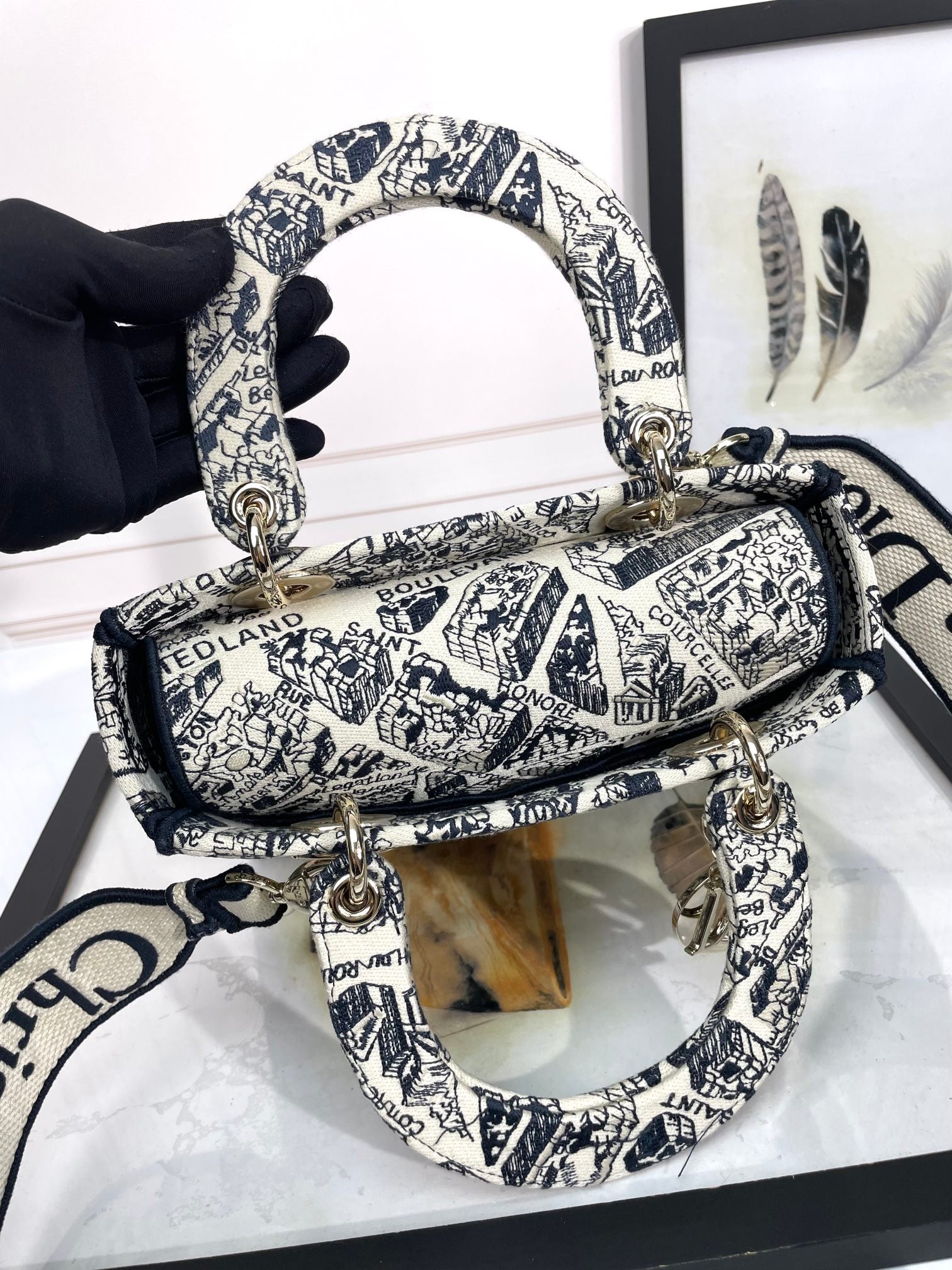 Dior Embroidered Toile Tapestry Canvas Top Handle Bag with Strap