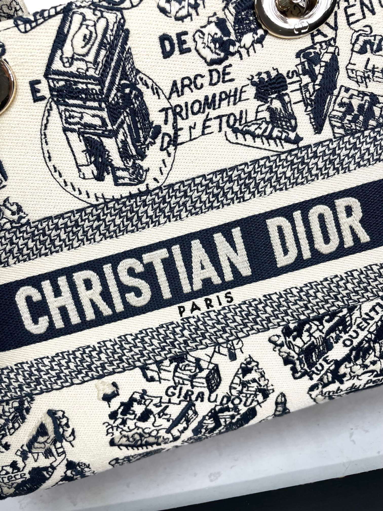 Christian Dior Lady D-Lite Bag - Blue Toile de Jouy Reverse Embroidery