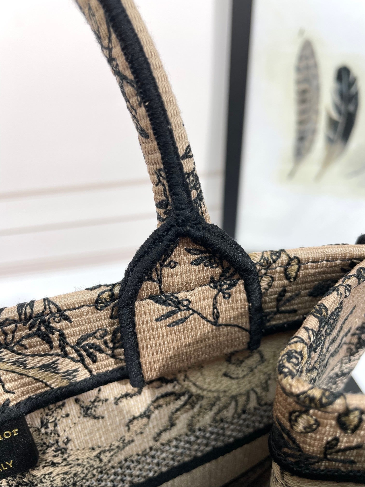 Christian Dior Book Tote Canvas Bag with Celestial Sun Motif