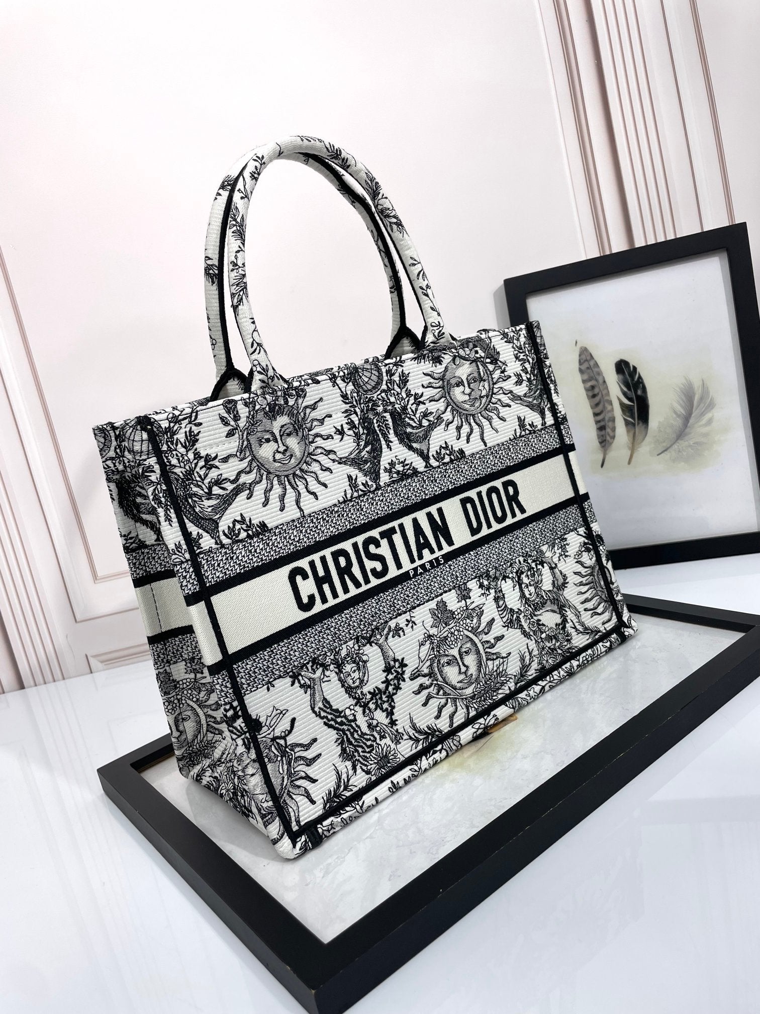 Christian Dior Medium Book Tote Bag - Black and White Sun Embroidered Canvas