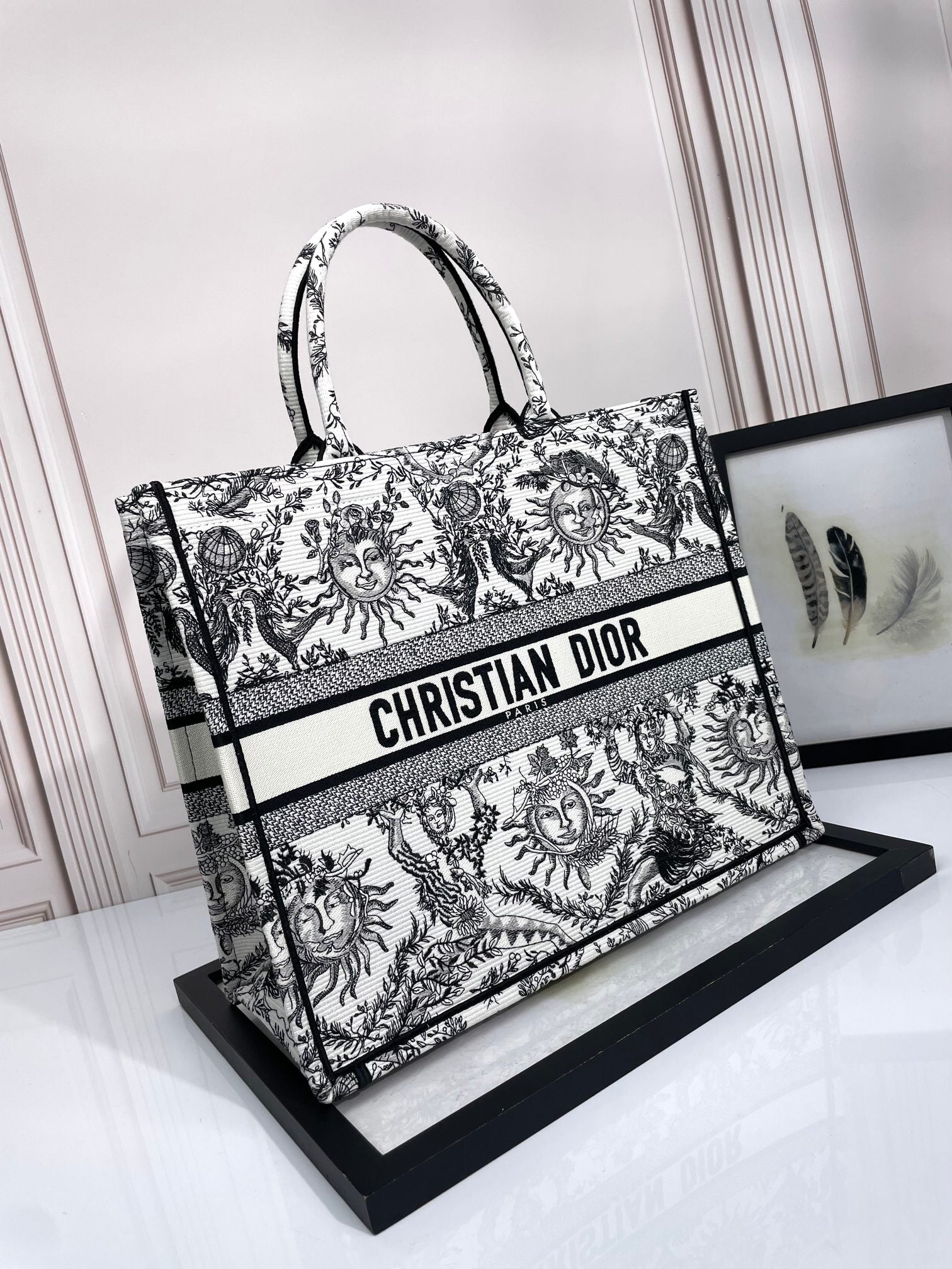 Christian Dior Medium Book Tote - Black and White Toile de Jouy Soleil Canvas