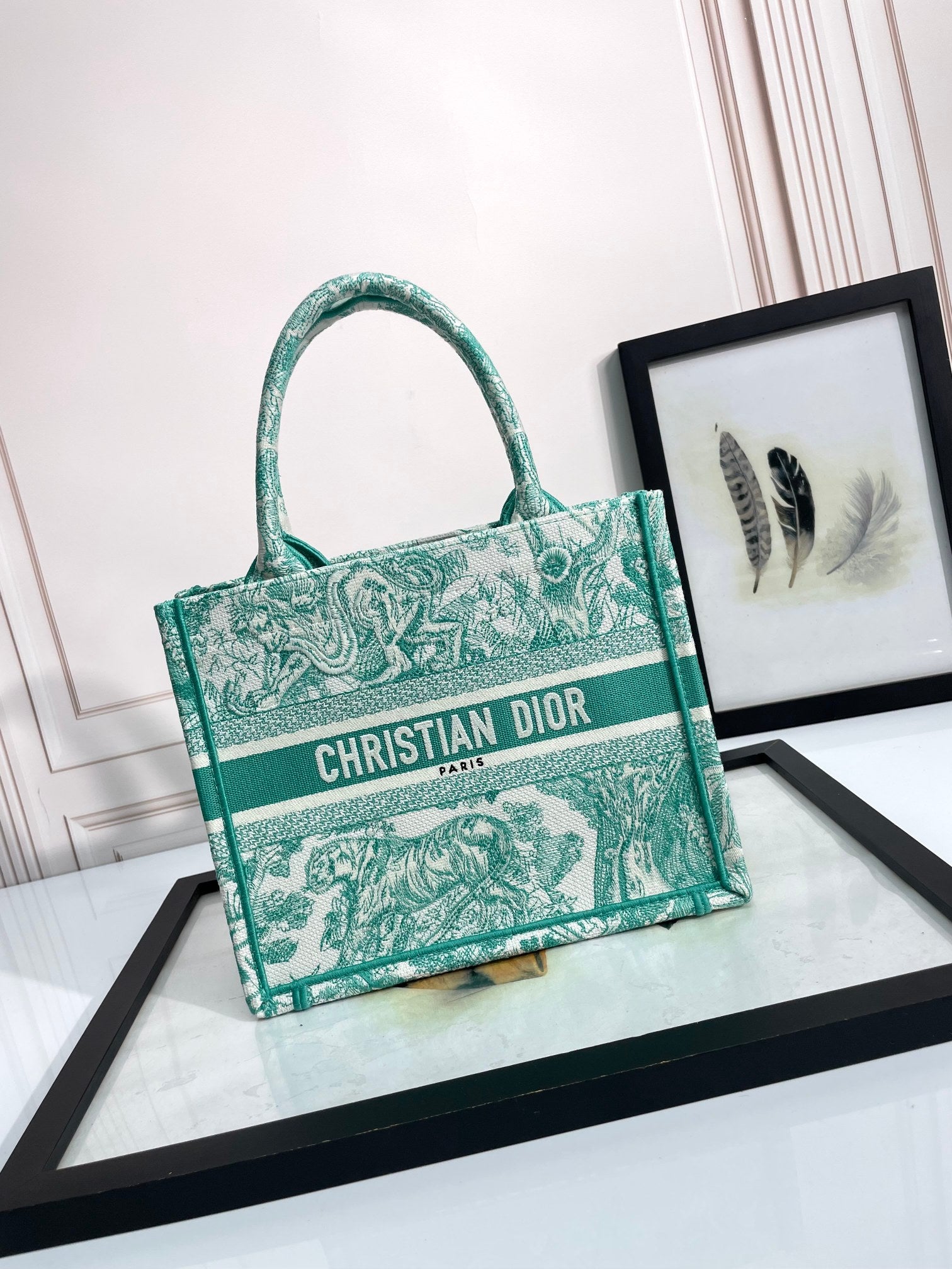 Christian Dior Book Tote Bag - Green and White Toile de Jouy Embroidered Canvas