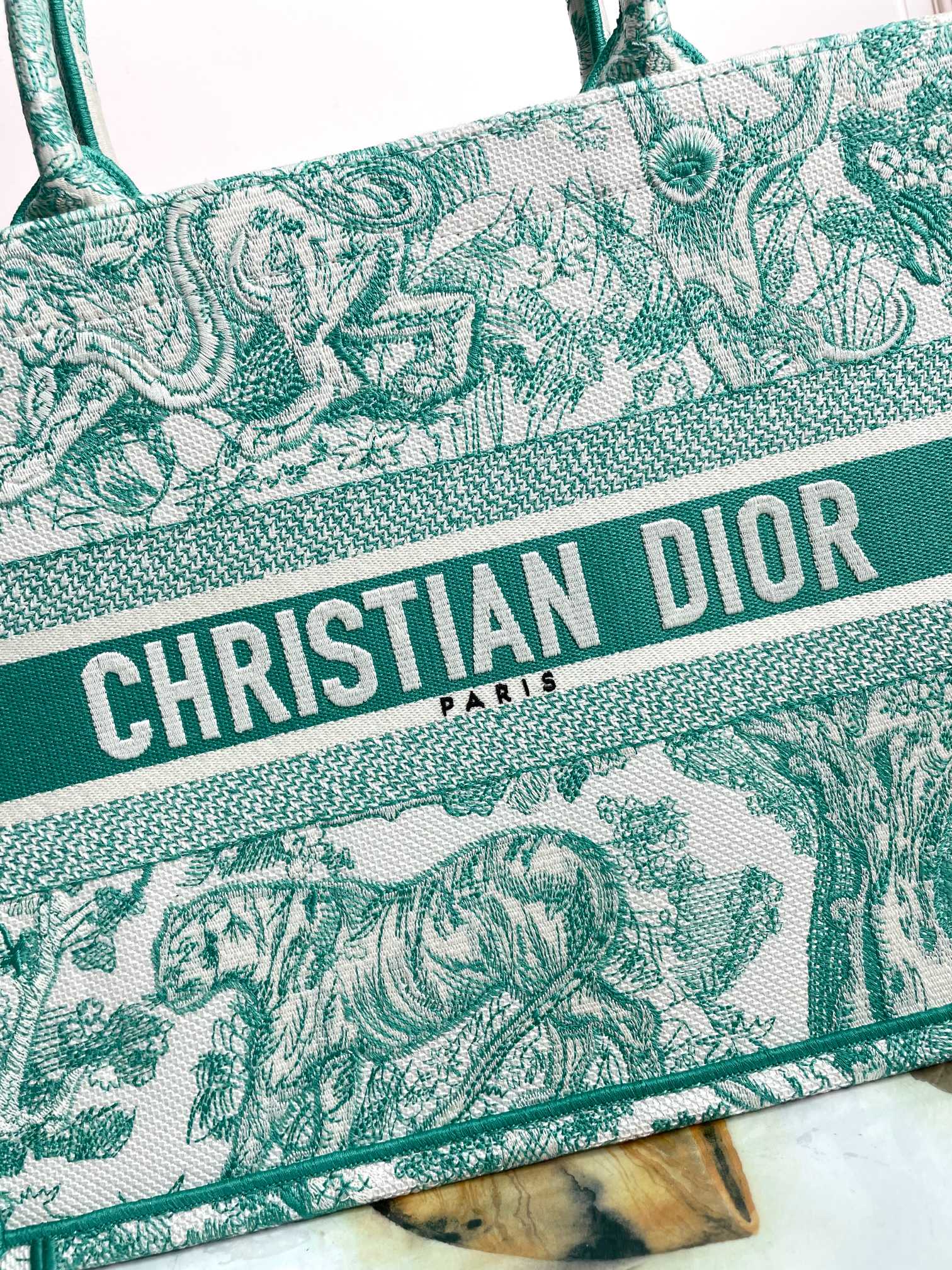 Christian Dior Medium Book Tote - Green Toile de Jouy Embroidered Canvas