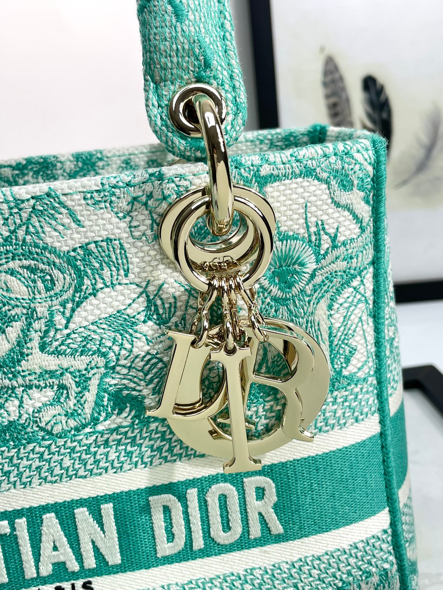 Dior Green Toile de Jouy Embroidered Canvas Top Handle Handbag