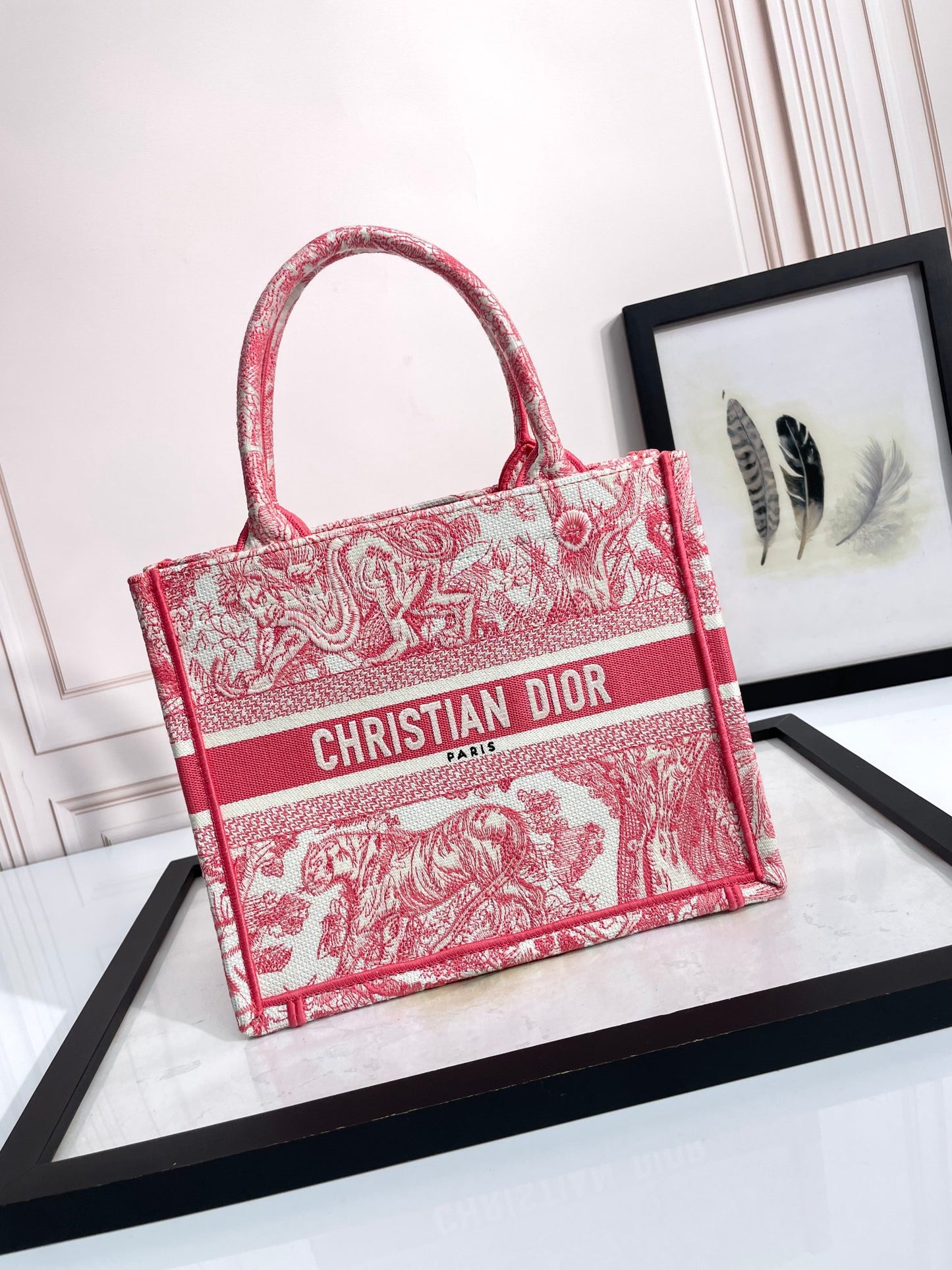 Dior Embroidered Pink Toile Canvas Tote Bag Structured Handbag