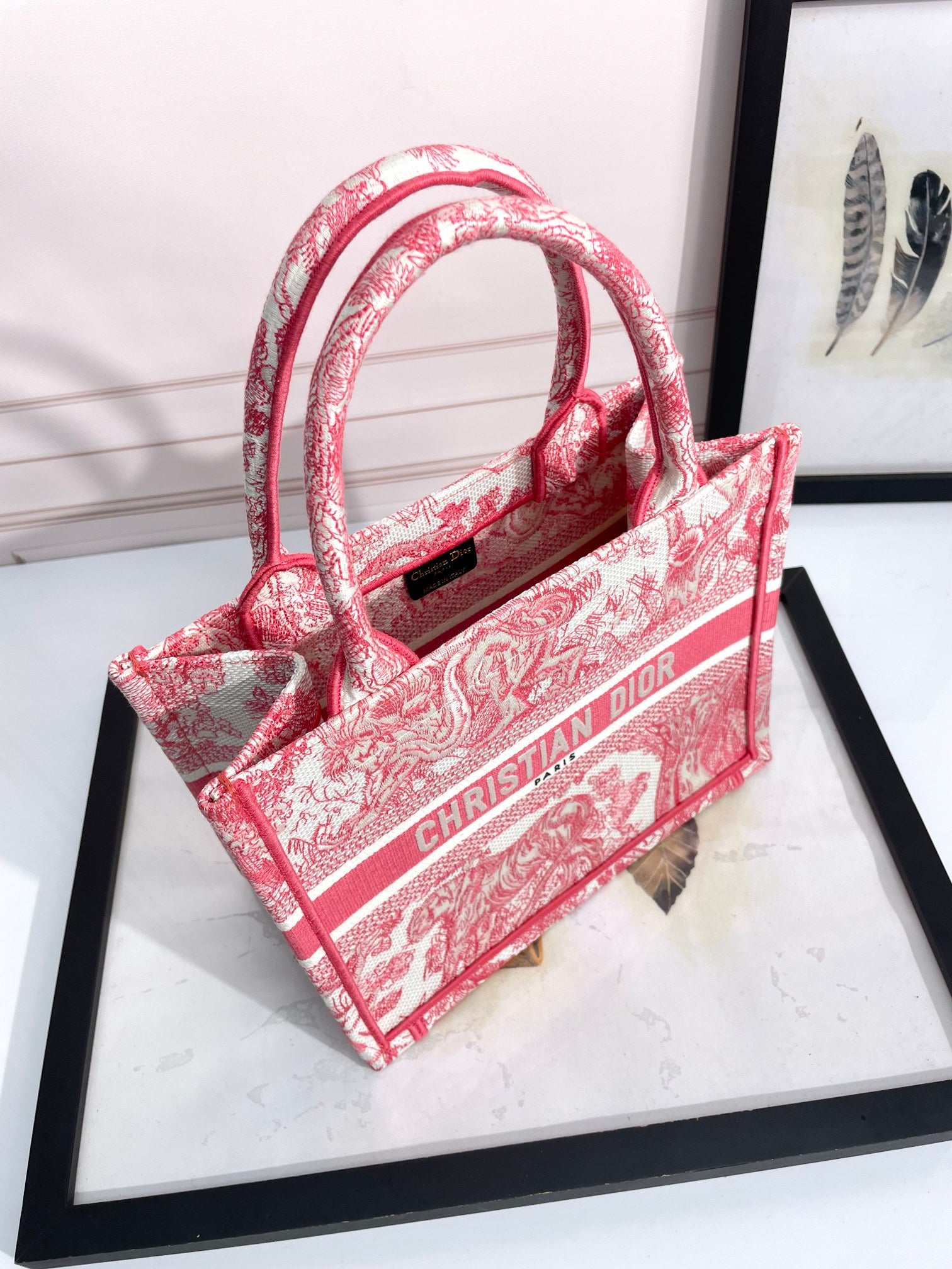 Dior Red Embroidered Toile de Jouy Canvas Tote Bag with Top Handles