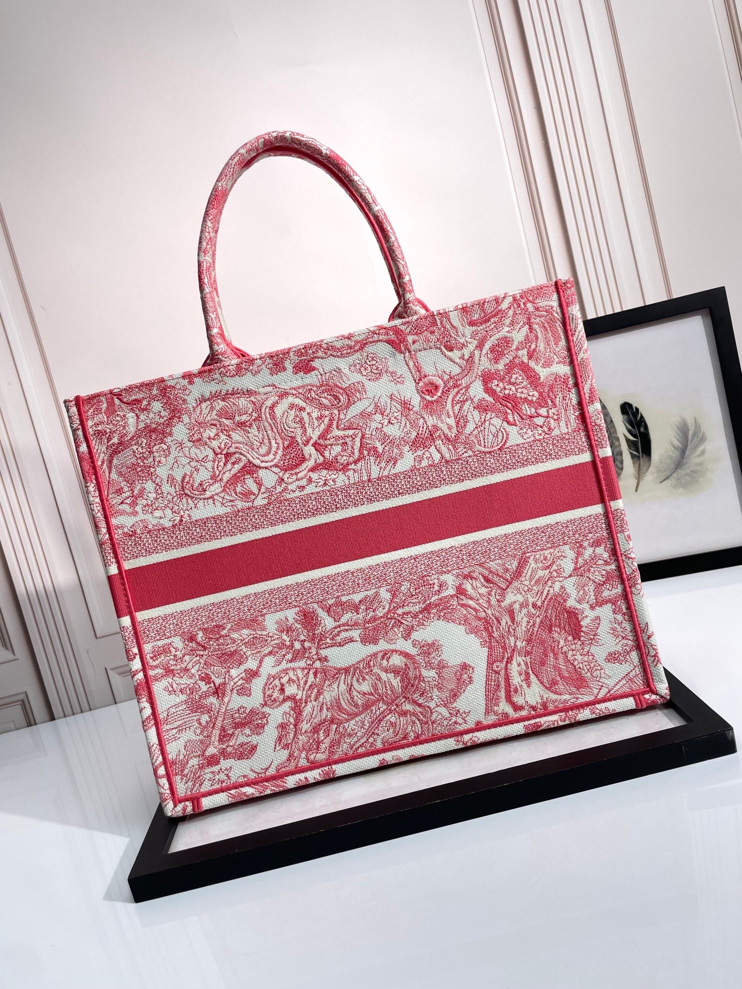 Christian Dior Large Book Tote - Red Toile de Jouy Embroidery