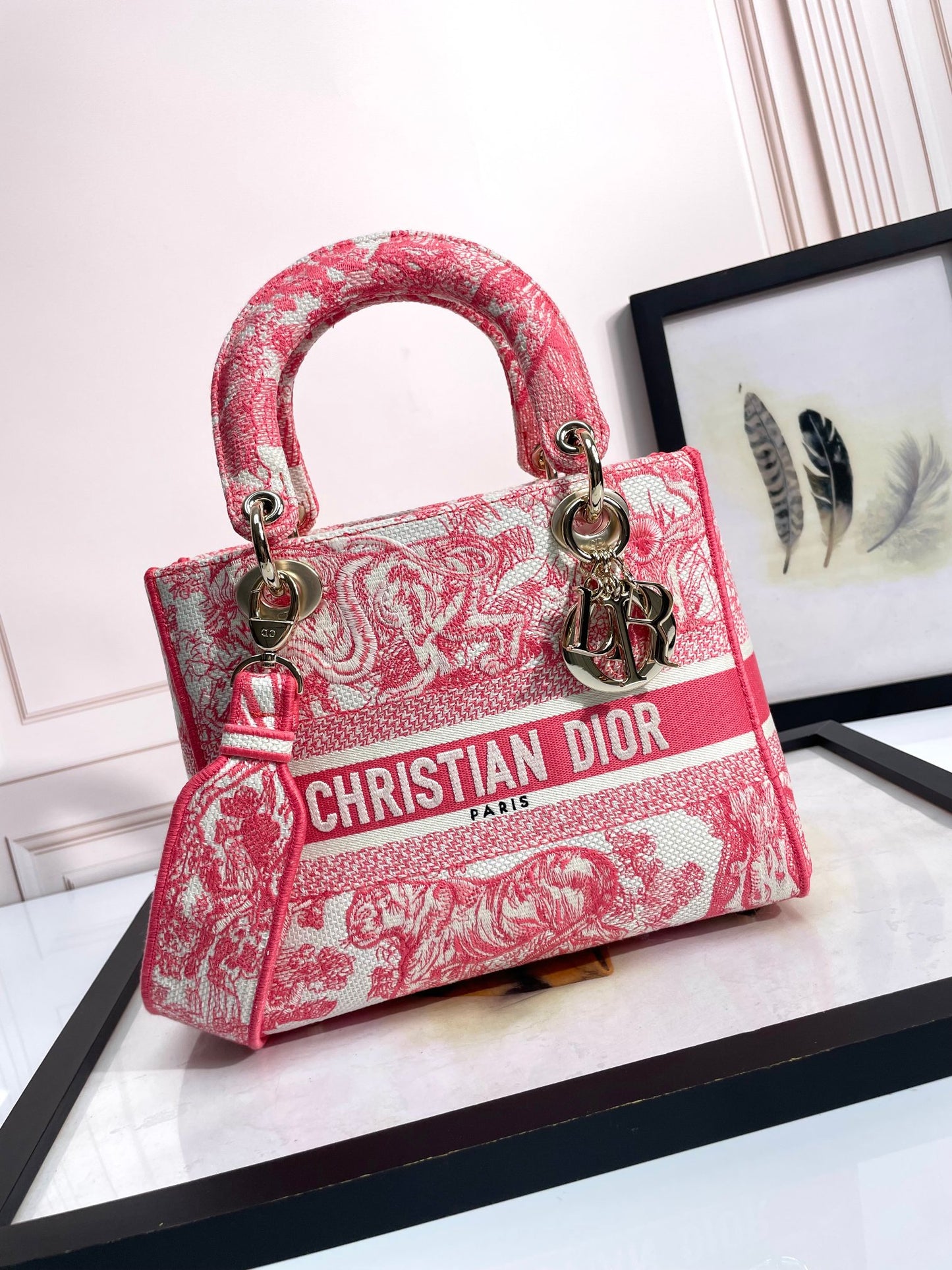 Dior Elegant Pink Toile Embroidered Canvas Handbag with Top Handle