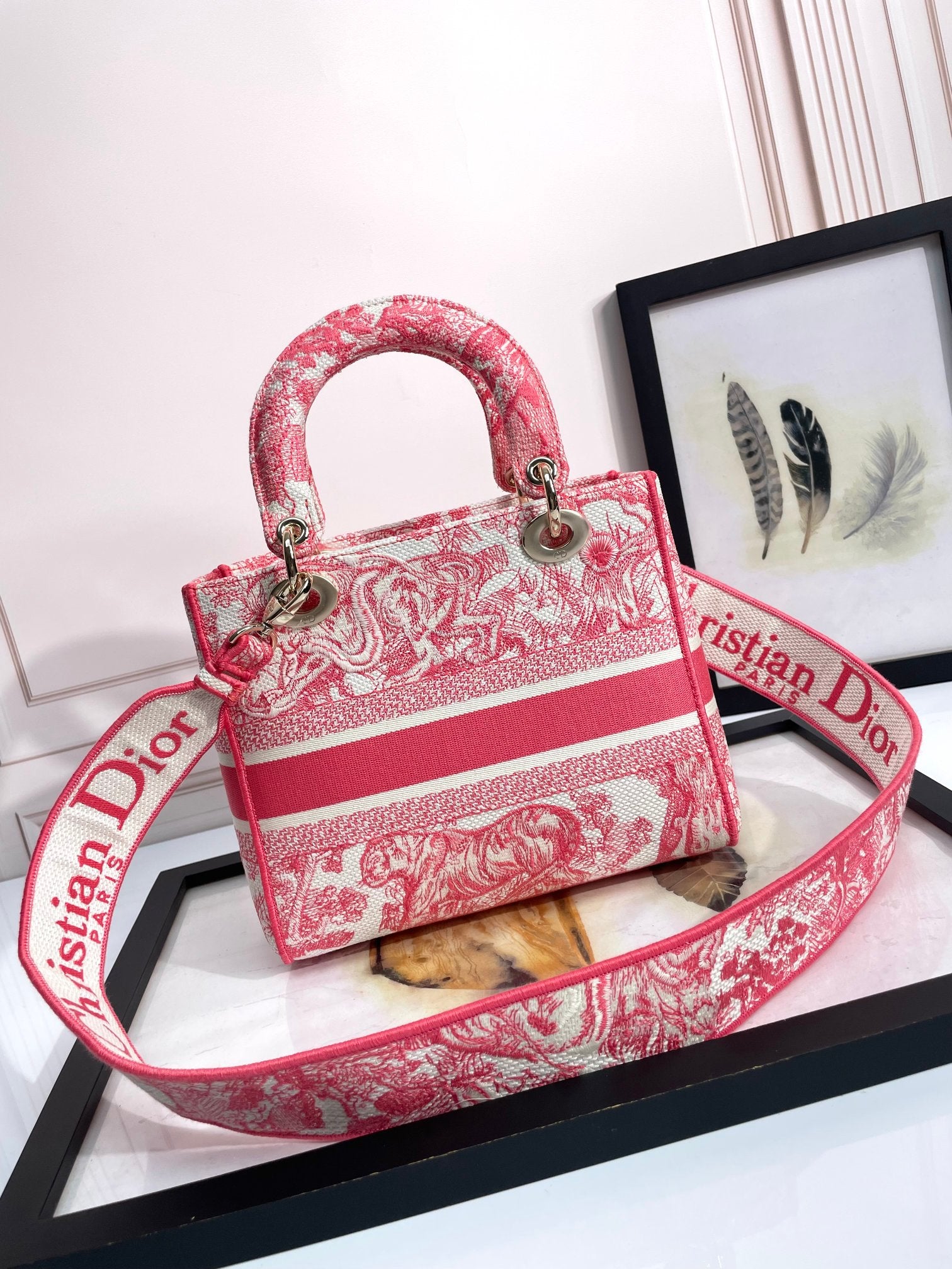 Dior Pink Toile de Jouy Embroidered Top Handle Shoulder Bag