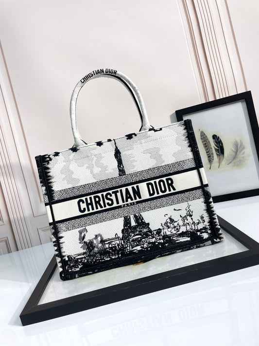 Christian Dior Medium Book Tote Bag with Black and White Plan de Paris Embroidery