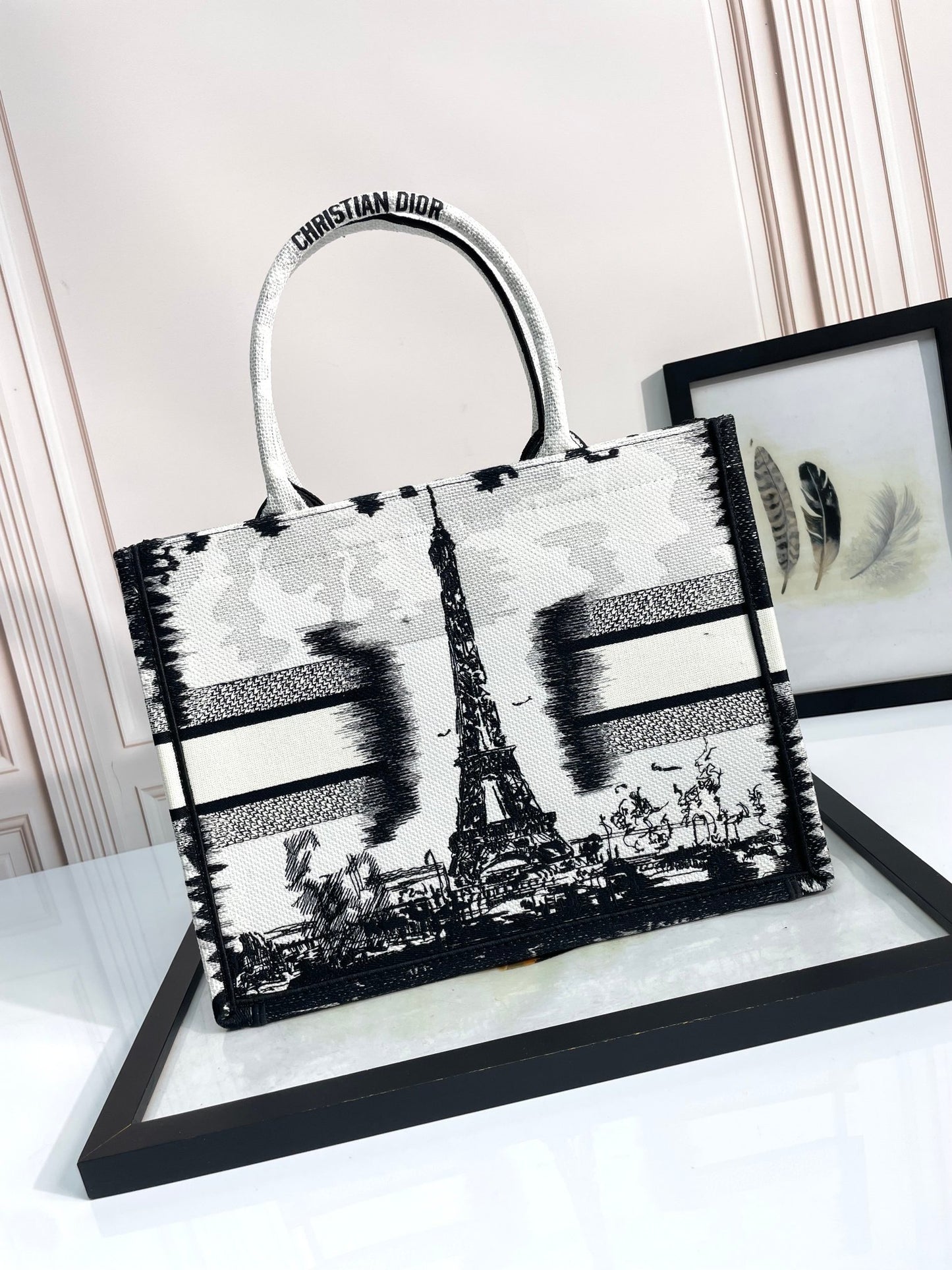 Dior Paris Eiffel Tower Printed Canvas Tote Bag with Top Handles