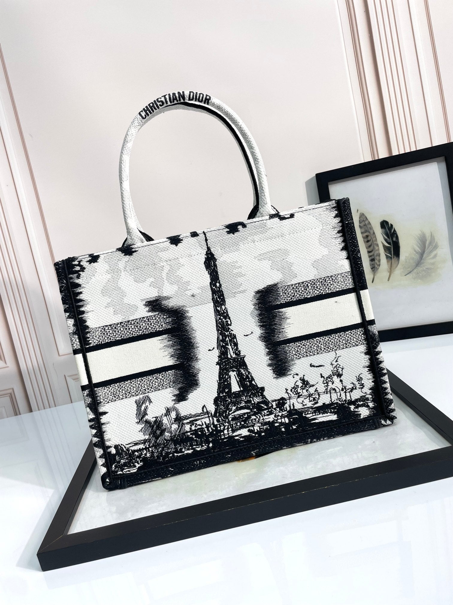 Dior Paris Eiffel Tower Printed Canvas Tote Bag with Top Handles