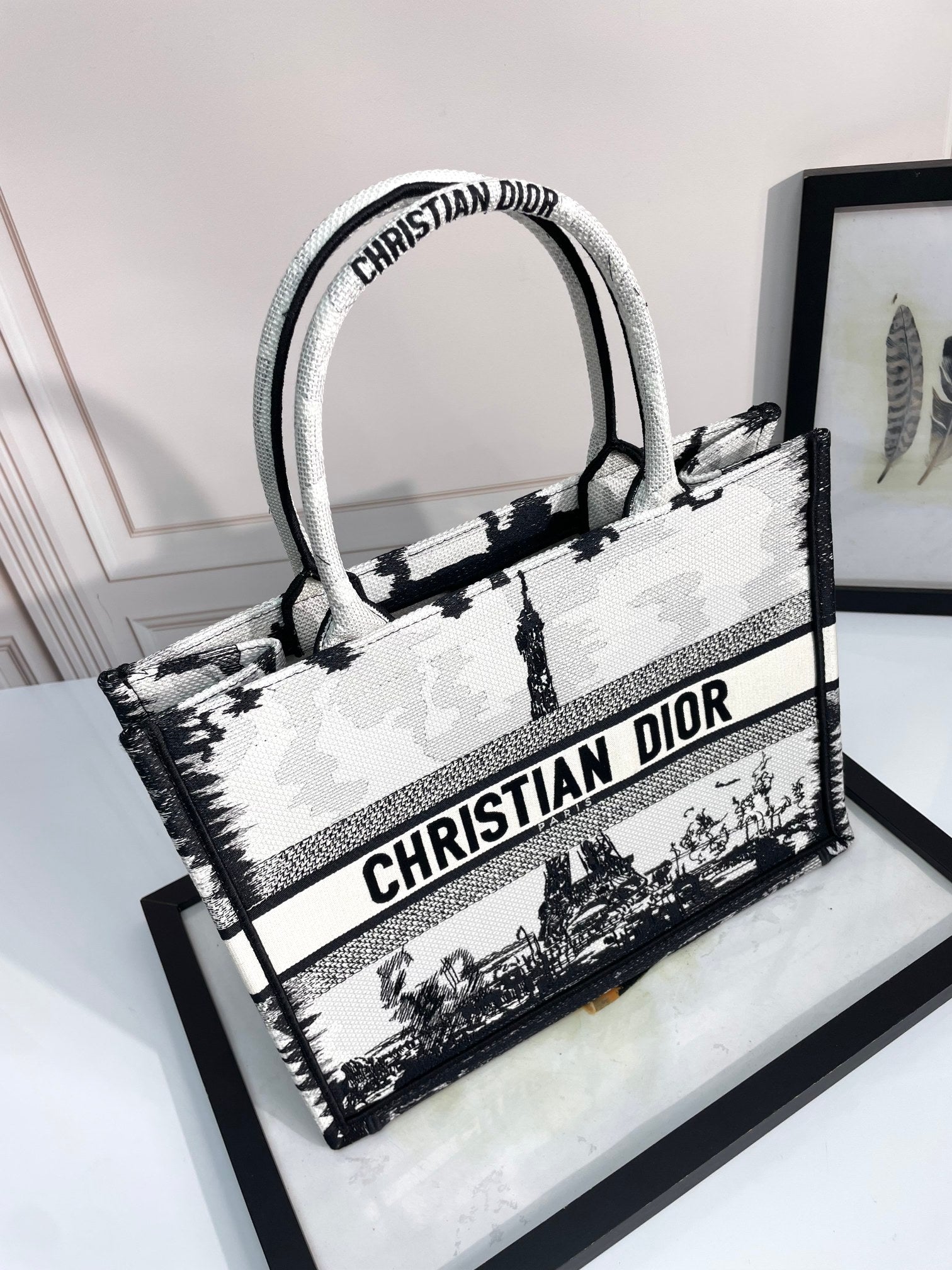 Christian Dior Book Tote Eiffel Tower Print Black and White Canvas Handbag