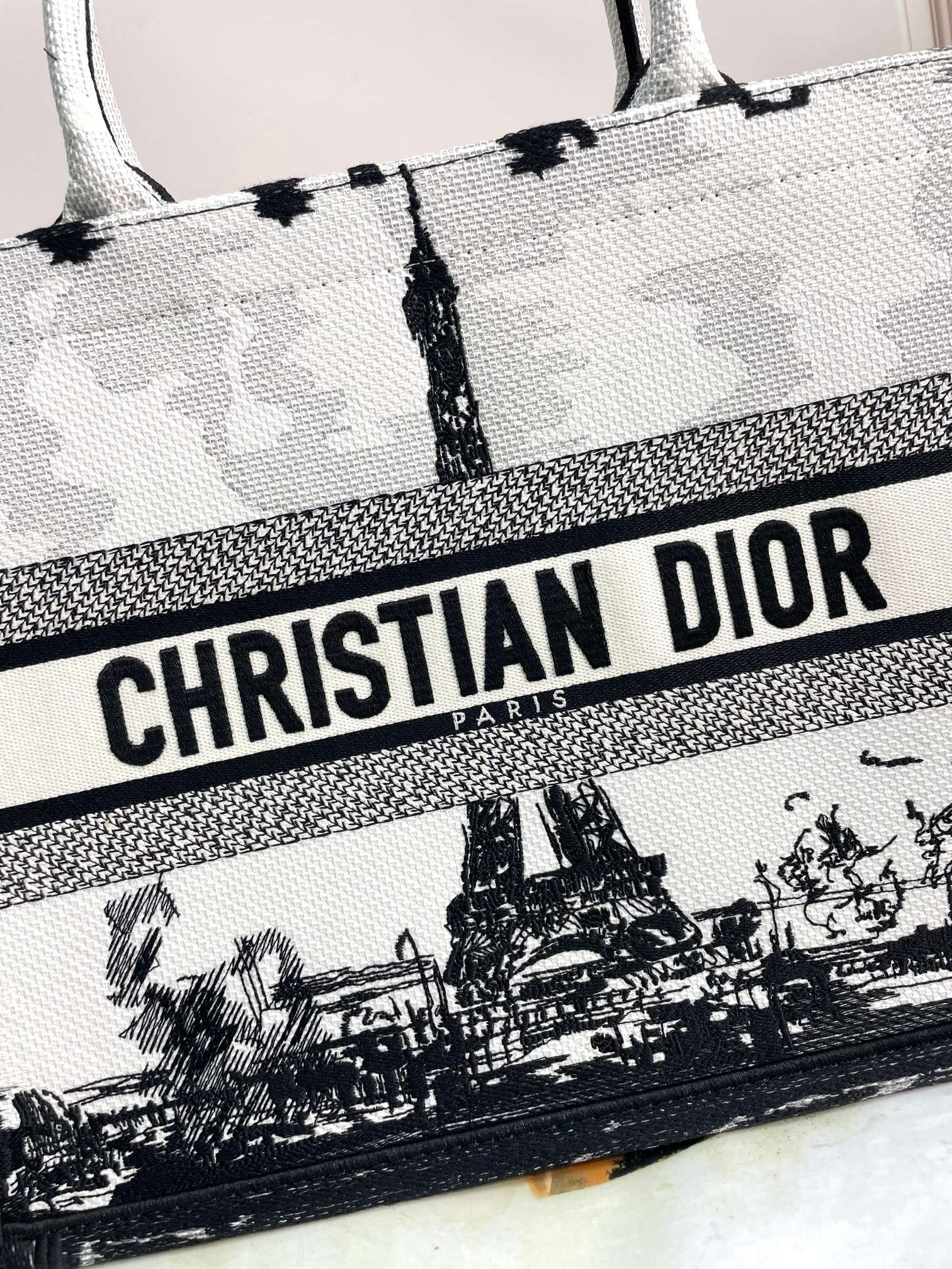 Christian Dior Medium Book Tote Bag with Black and White Plan de Paris Embroidery