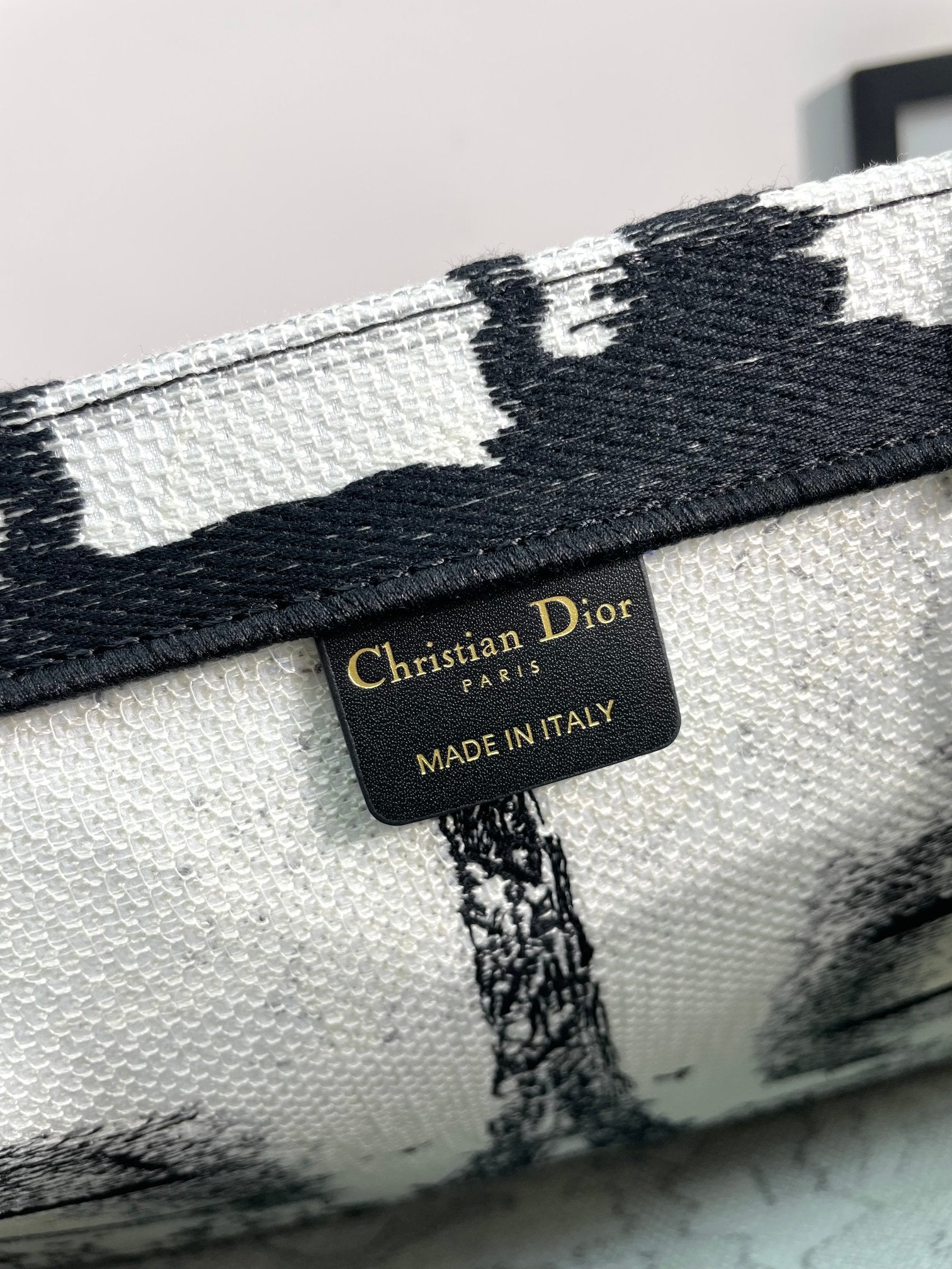 Dior Paris Eiffel Tower Print Canvas Tote Handbag with Top Handles