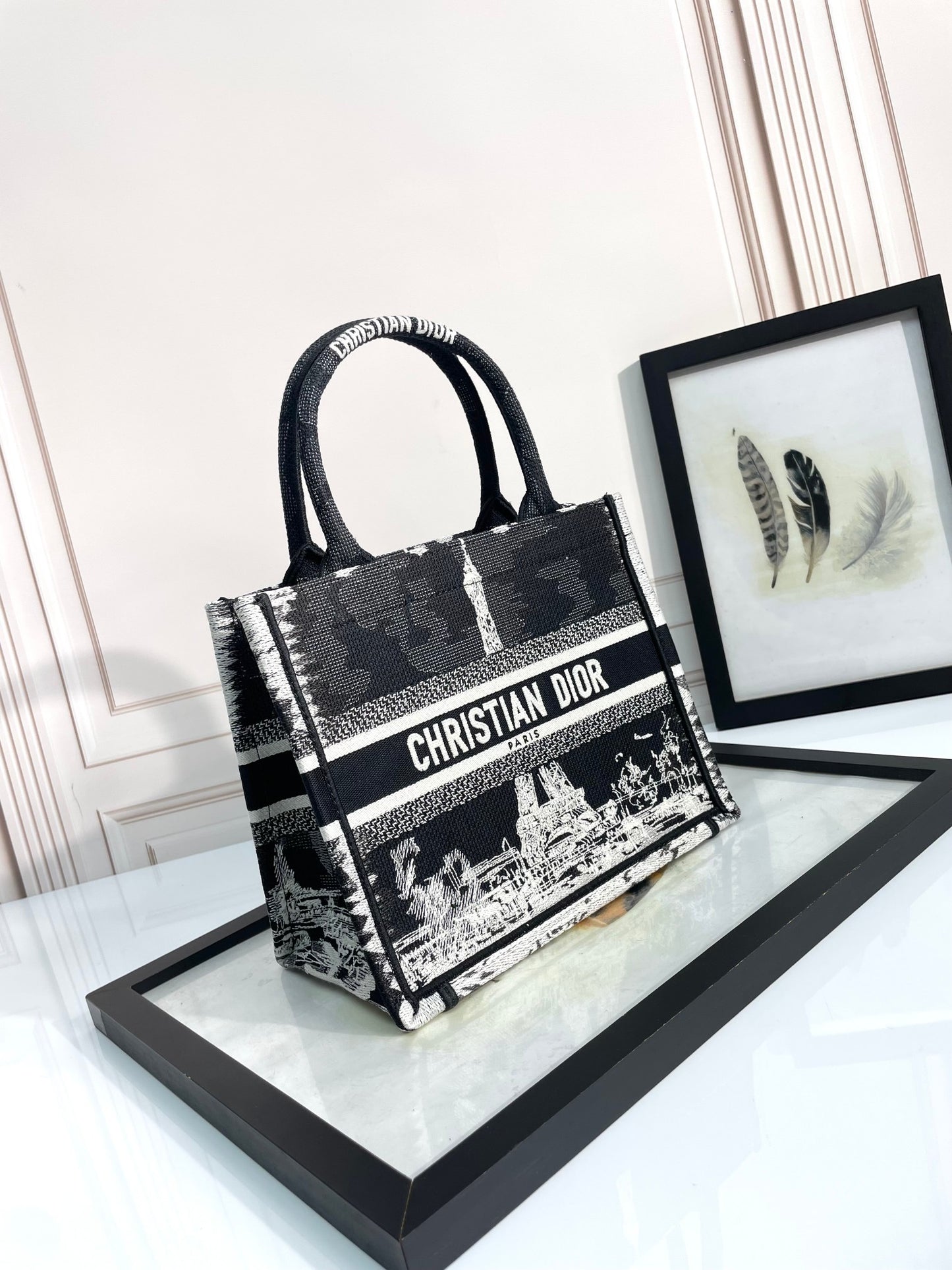 Dior Classic Black and White Paris Embroidered Canvas Tote Handbag