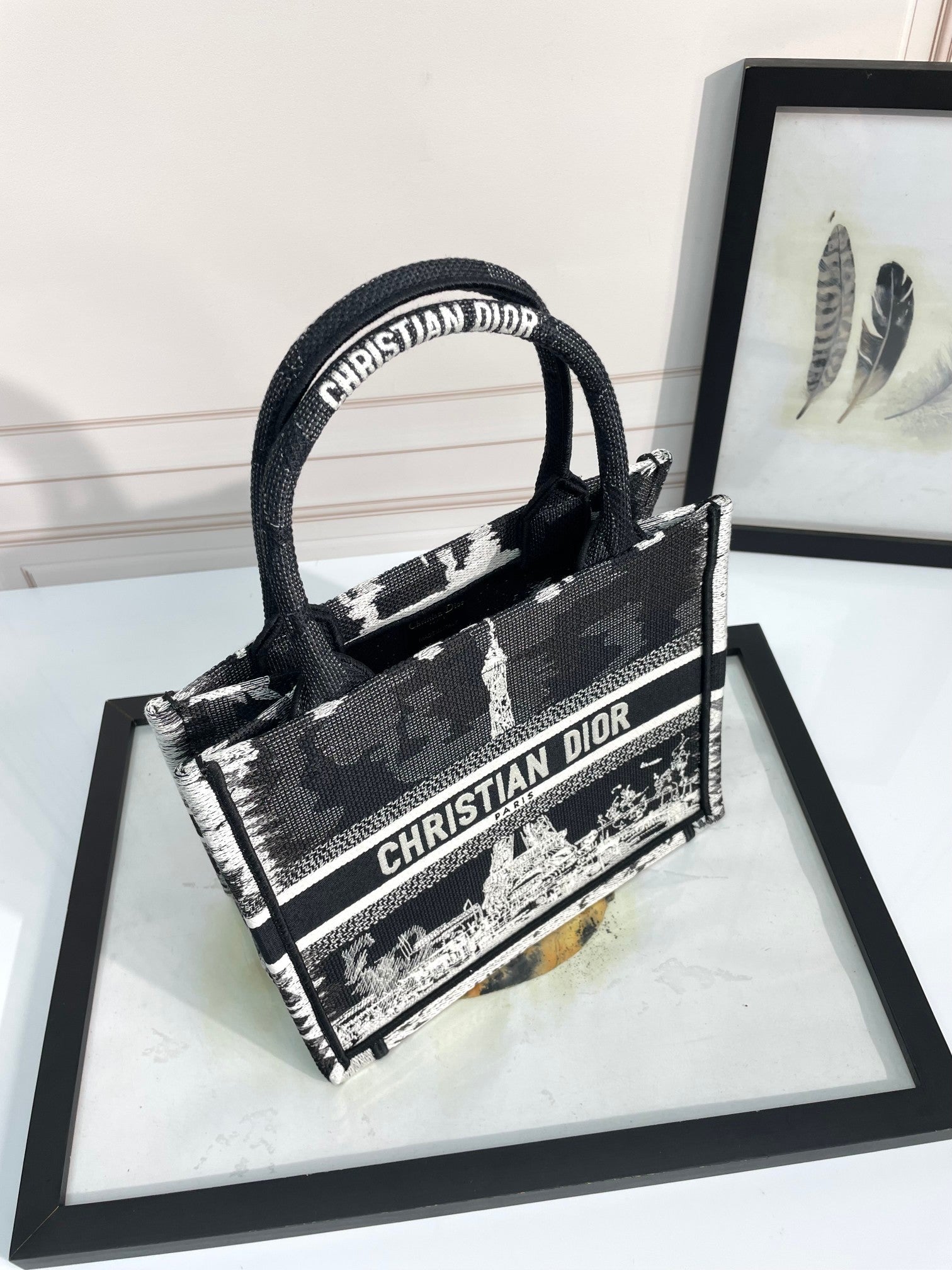 Christian Dior Medium Book Tote - Black and White Plan de Paris Embroidery Canvas Handbag