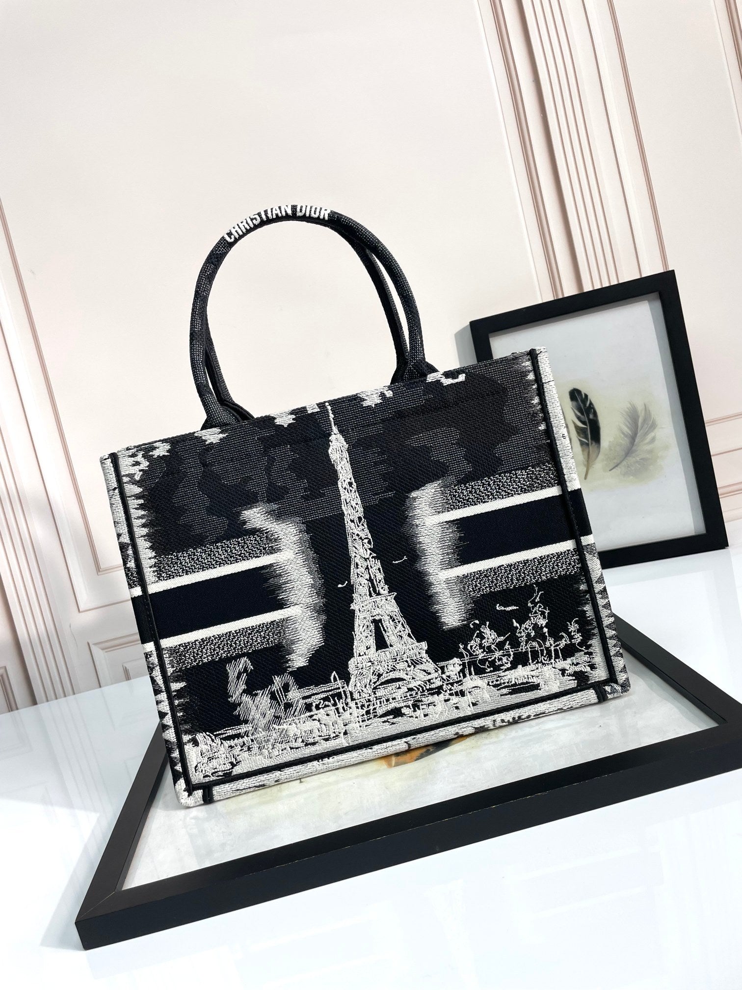 Christian Dior Medium Book Tote Plan de Paris Embroidery Bag