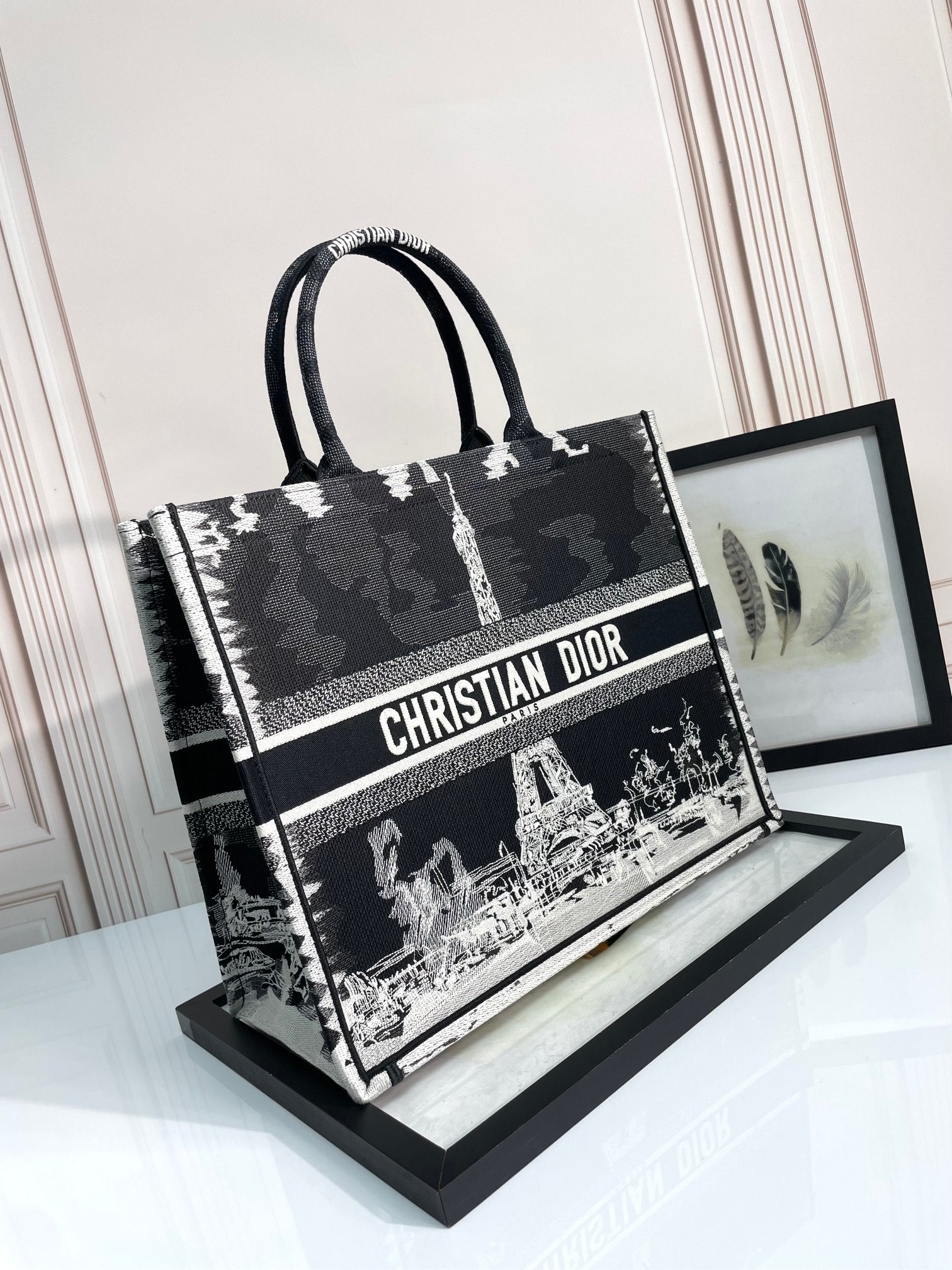 Christian Dior Large Book Tote Bag with Black and White Eiffel Tower Embroidery