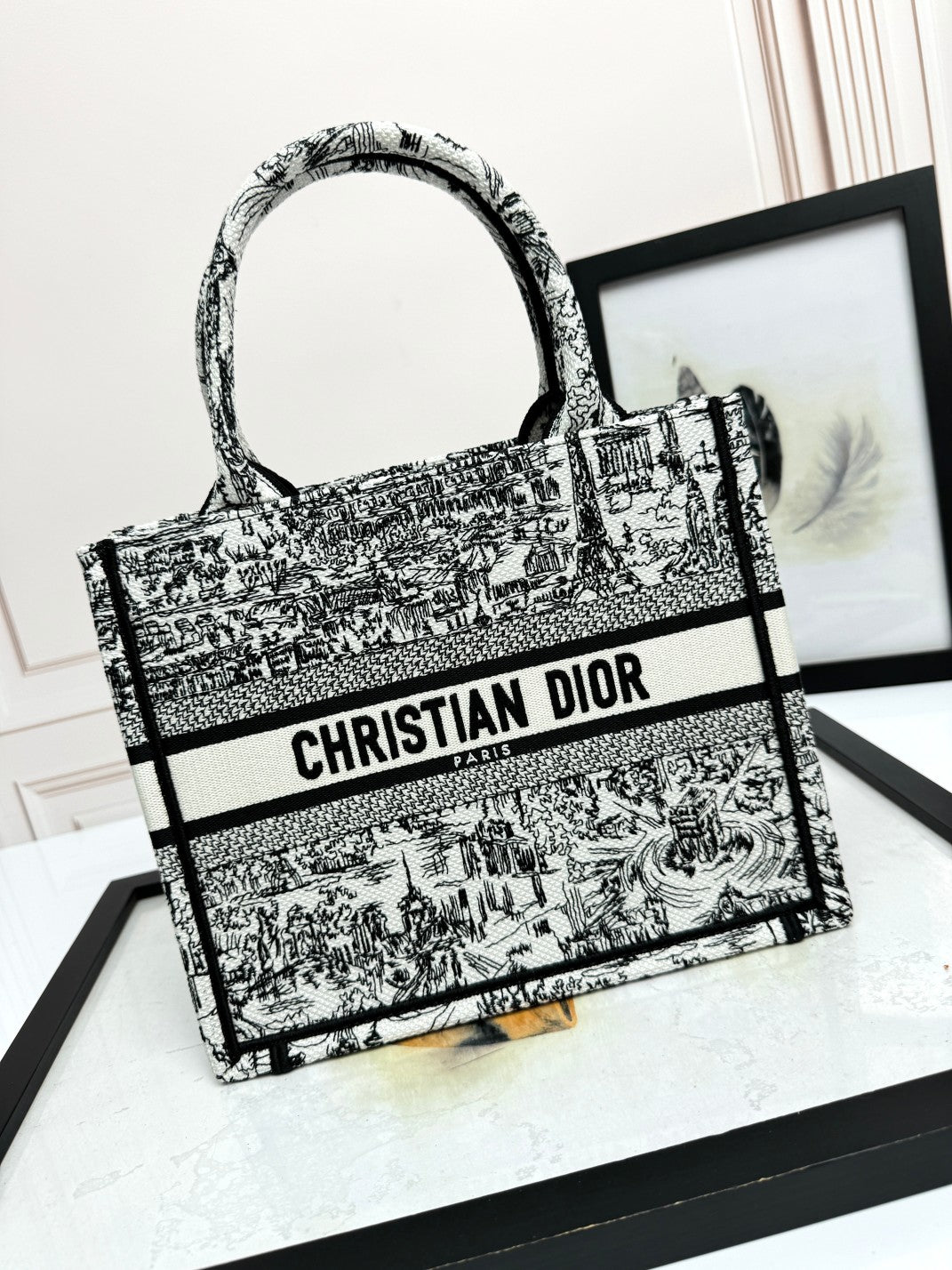 Dior Elegant Black and White Toile Embroidery Canvas Tote Handbag