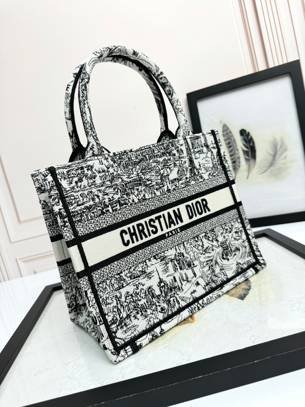 Dior Elegant Black and White Toile Embroidery Canvas Tote Handbag