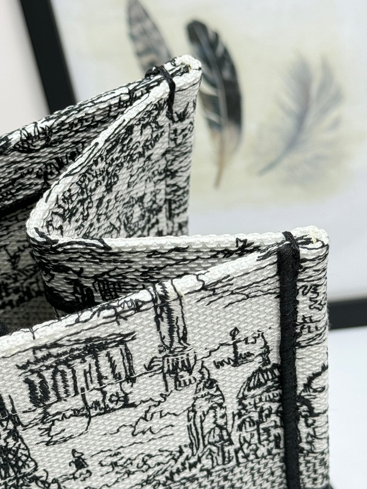Christian Dior Large Book Tote Black and White Toile de Jouy Embroidery