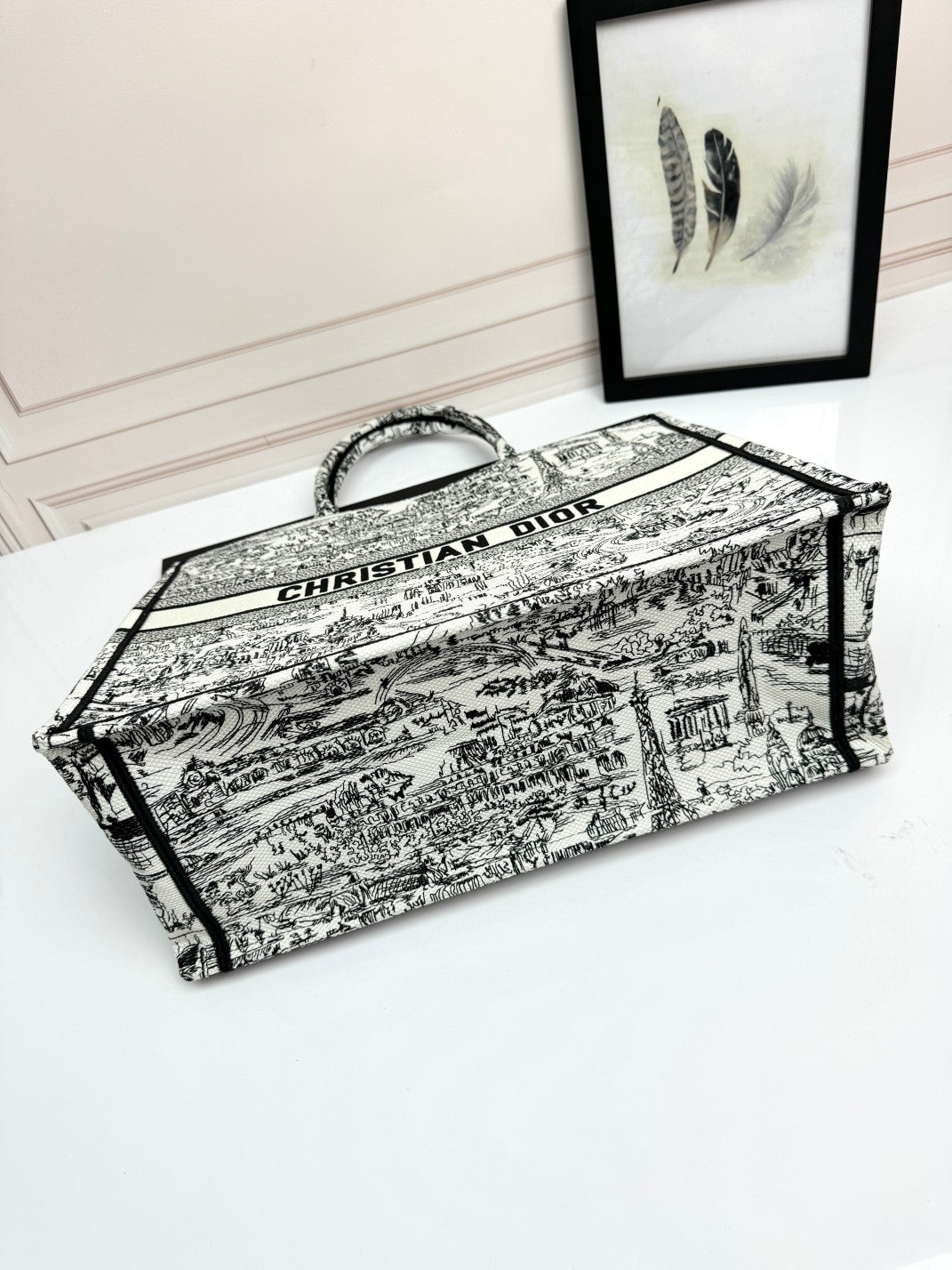 Dior Classic Black and White Architecture Print Canvas Tote Handbag