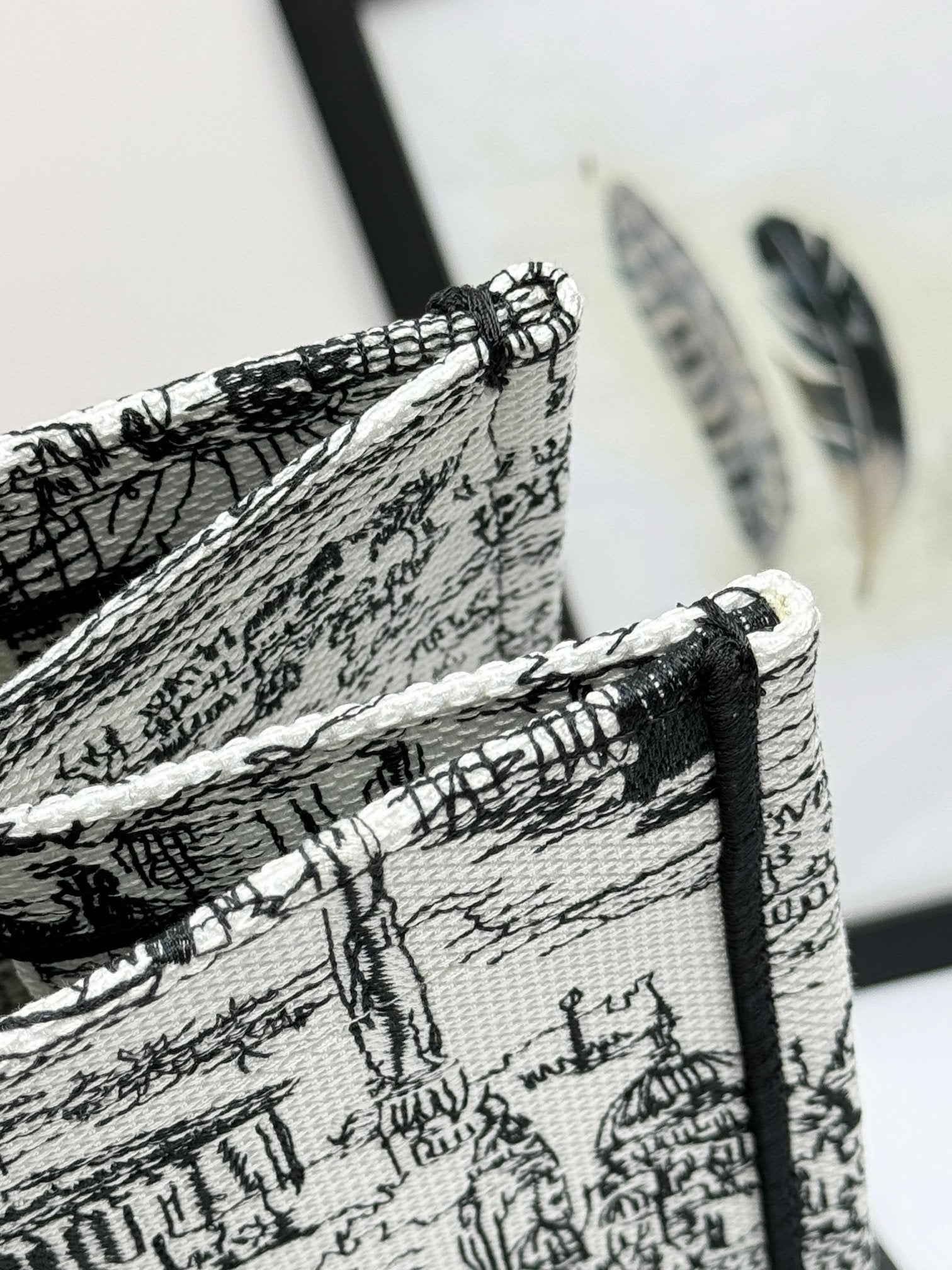 Dior Classic Black and White Architecture Print Canvas Tote Handbag