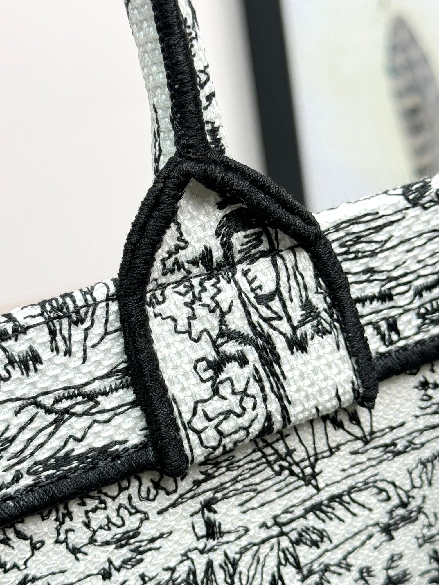 Christian Dior Large Book Tote Plan de Paris Embroidery - White and Black