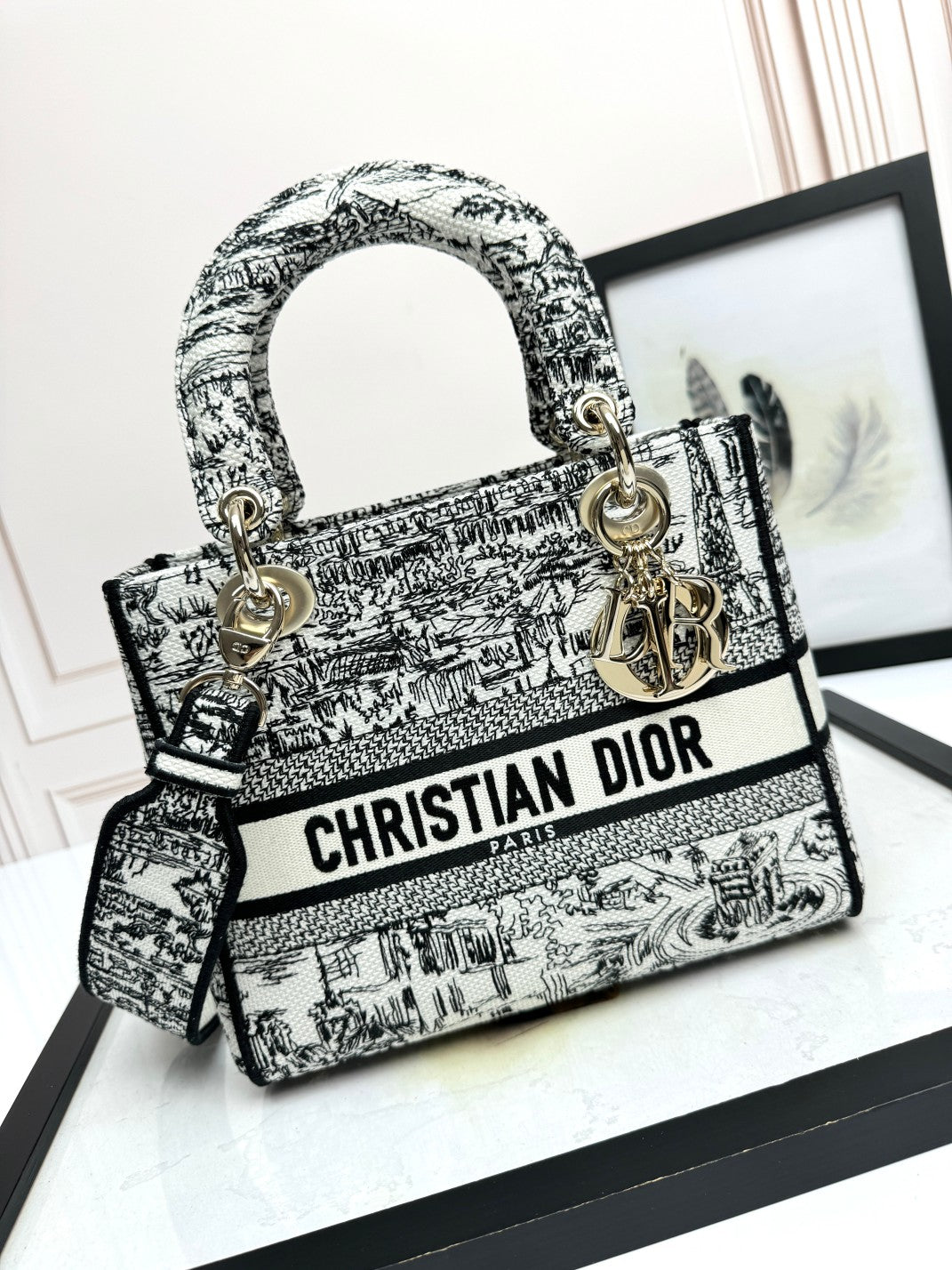 Dior Elegant Black and White Embroidered Toile Top Handle Handbag
