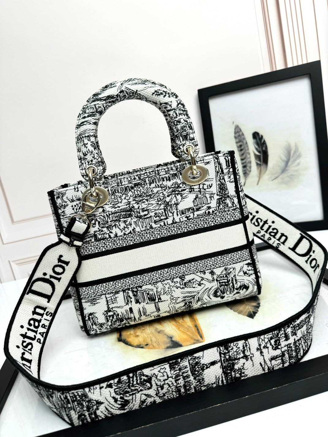 Christian Dior Lady D-Lite Bag Toile de Jouy Embroidery Handbag - White & Black