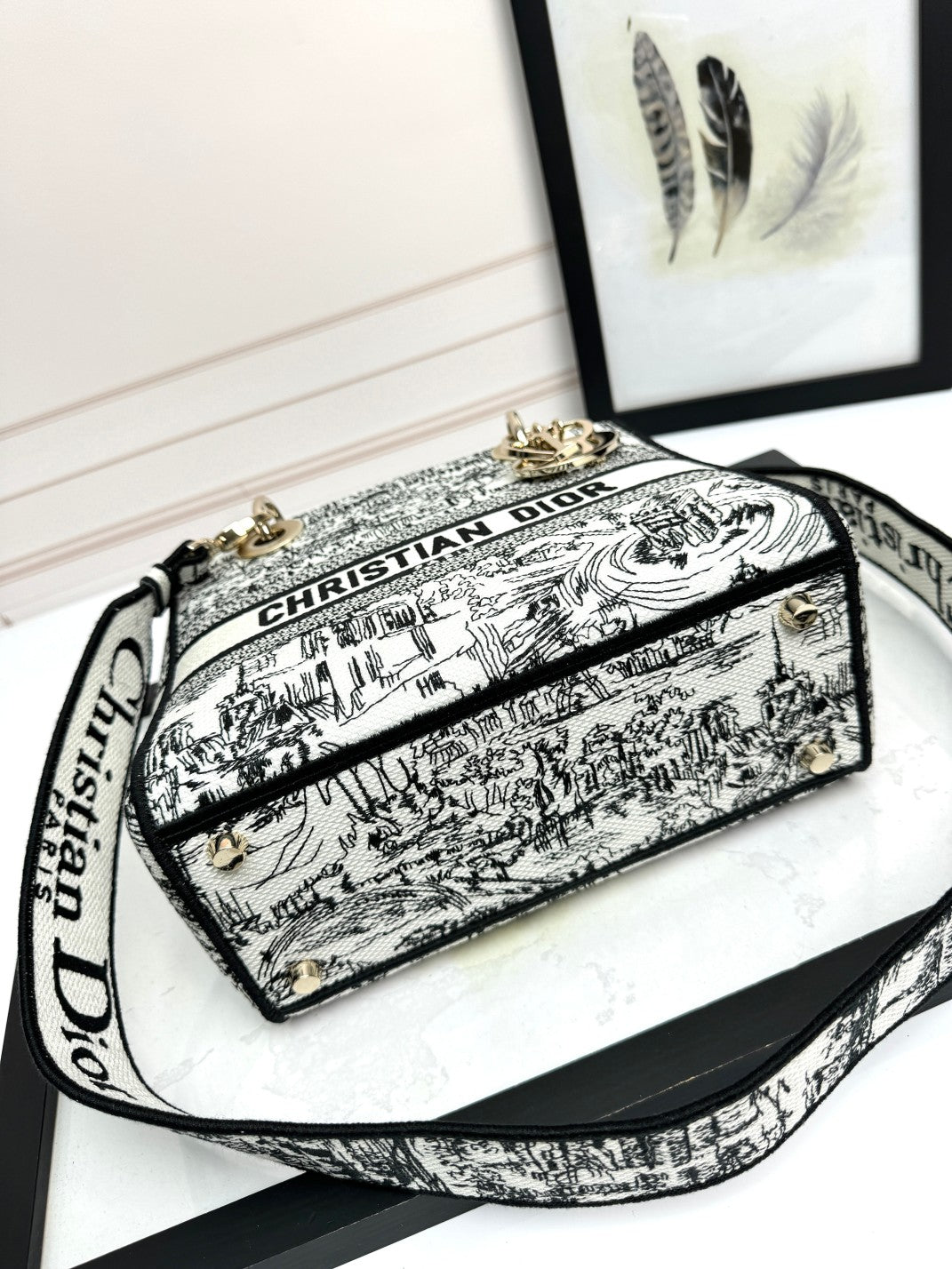 Dior Classic Black and White Toile Pattern Embroidered Top Handle Bag