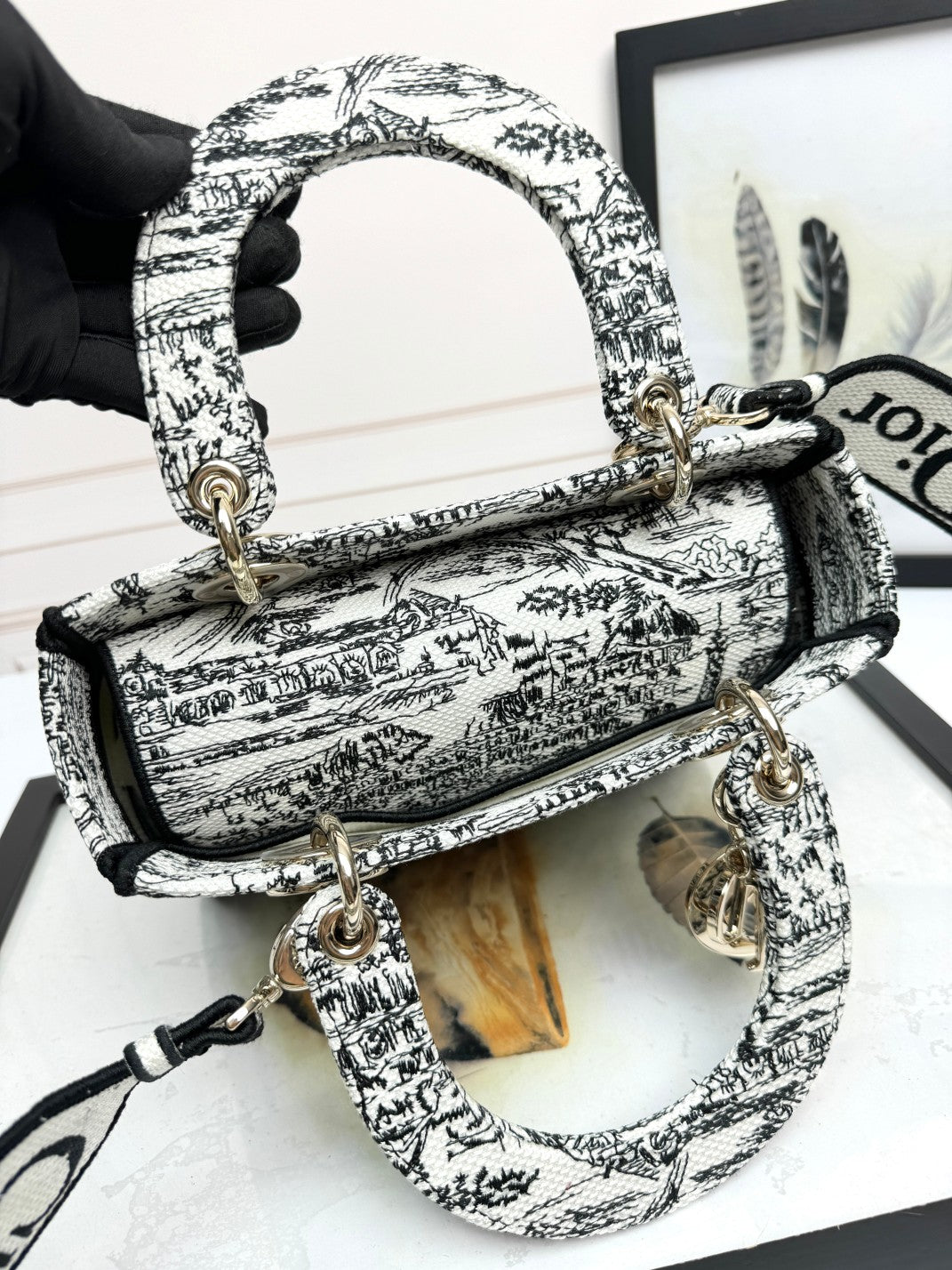 Christian Dior Lady D-Lite Bag Toile de Jouy Embroidery Handbag - White & Black