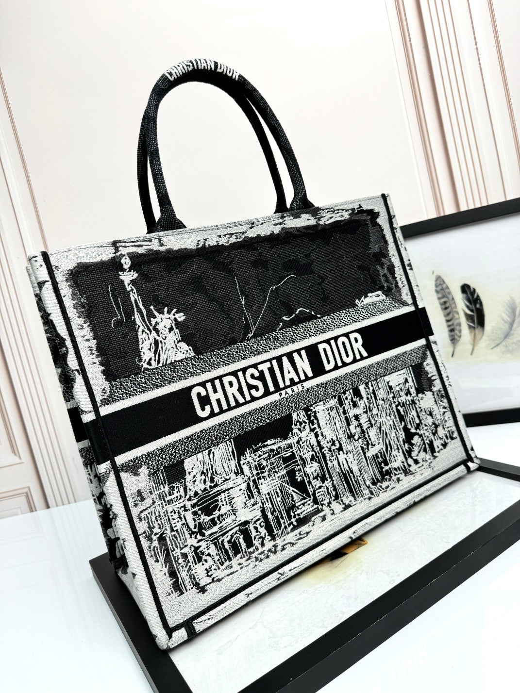 Dior Monochrome Statue of Liberty Graphic Canvas Tote Handbag