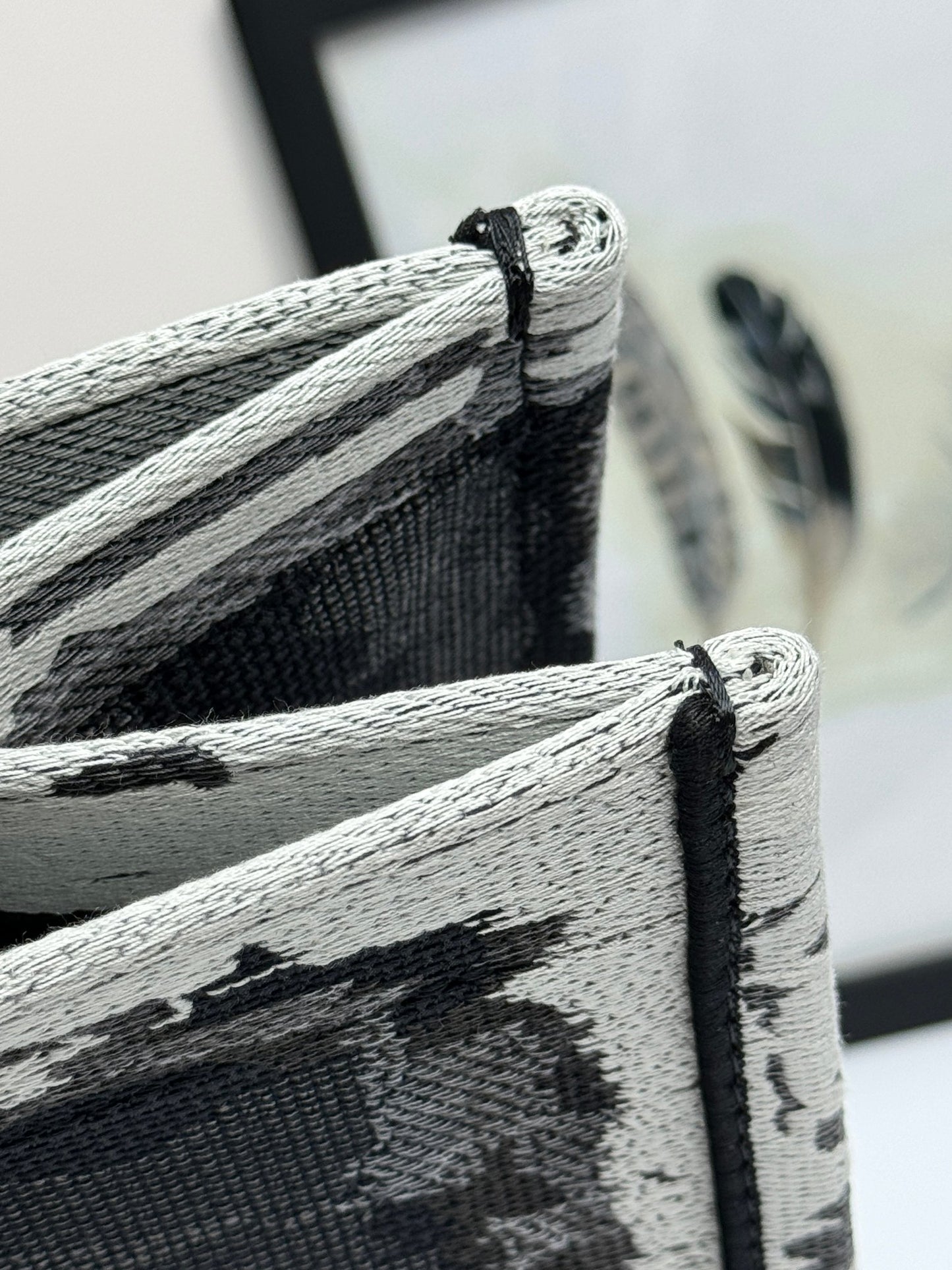 Christian Dior Book Tote - Black and White City Skyline Canvas Bag