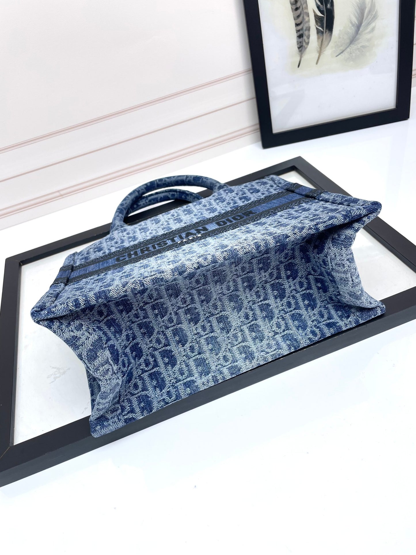 Christian Dior Book Tote Blue Oblique Embroidery Canvas Handbag