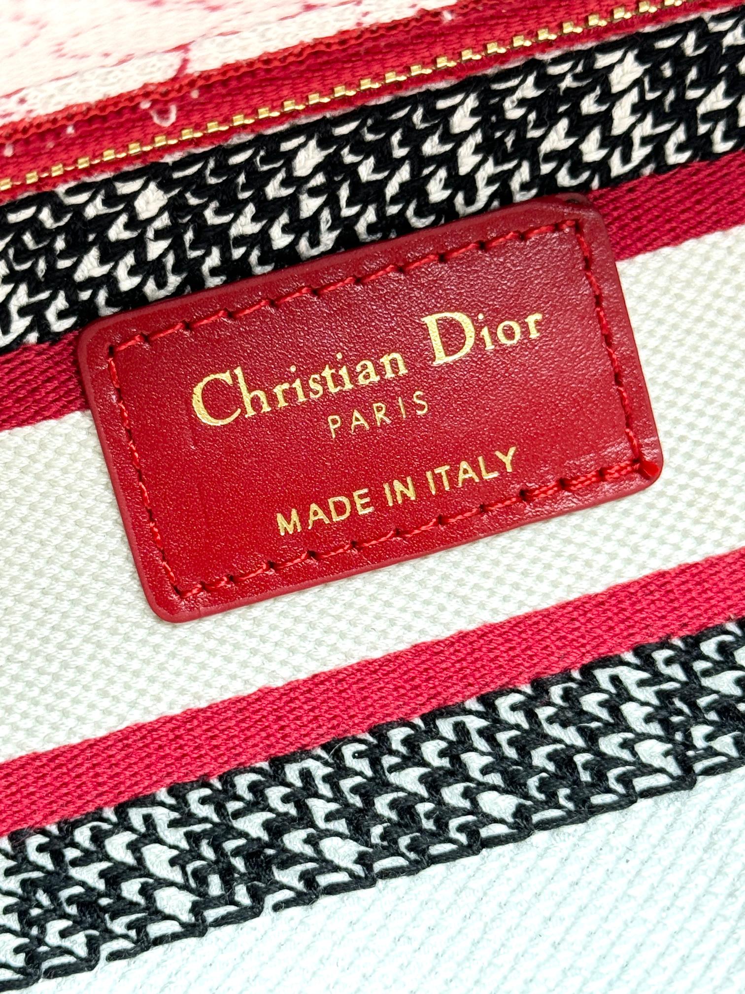 Dior Red Floral Embroidered Canvas Top Handle Satchel Handbag
