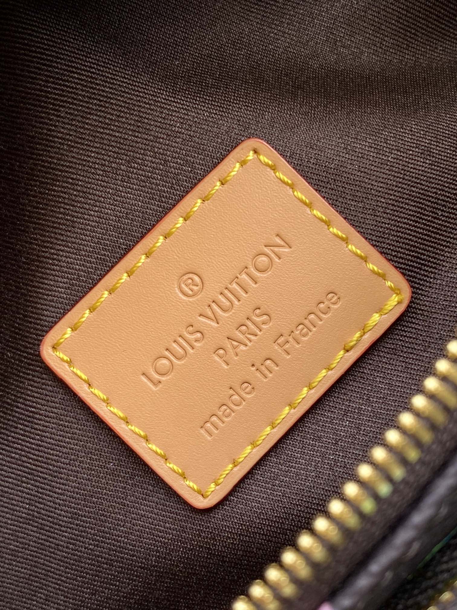 Louis Vuitton Luxury Brown Monogram Waist Bag with Colorful Flower Patterns