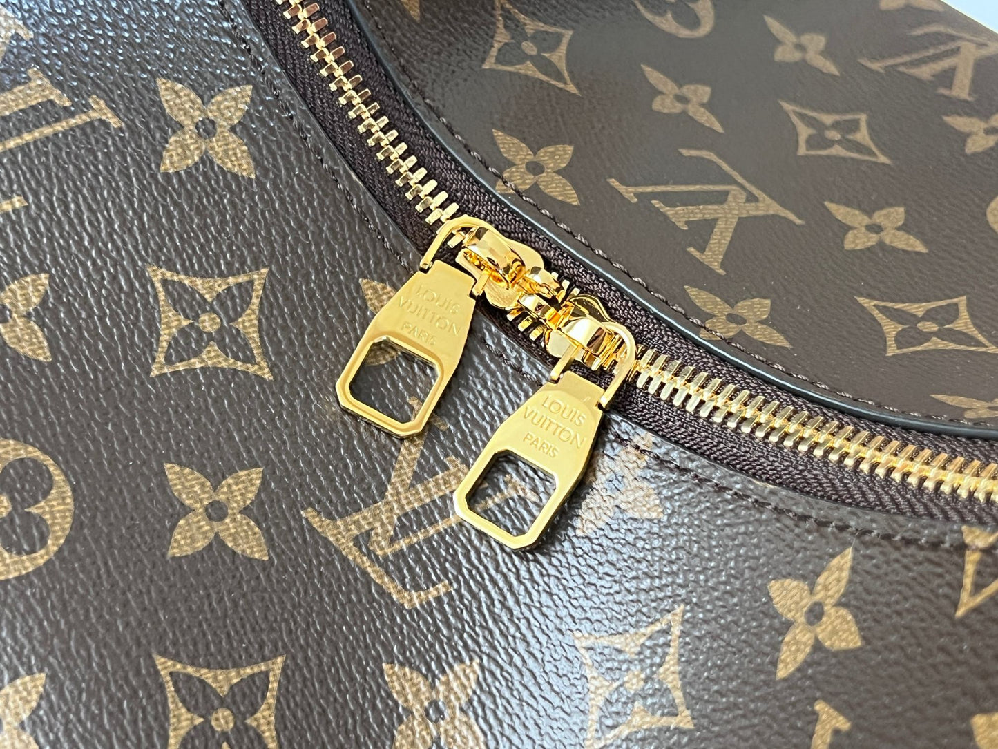 Louis Vuitton Loop Hobo Bag Monogram Canvas Brown