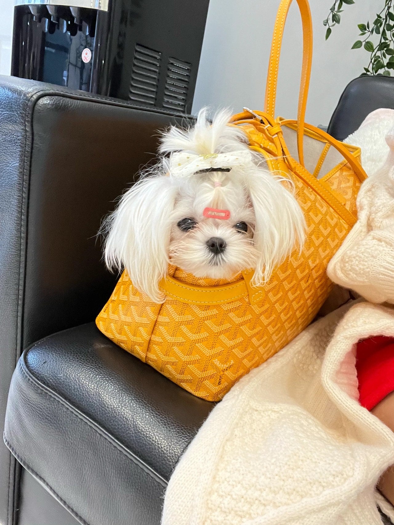 Gogy Luxury Yellow Chevron Pattern Pet Carrier Tote Bag for Small Dogs