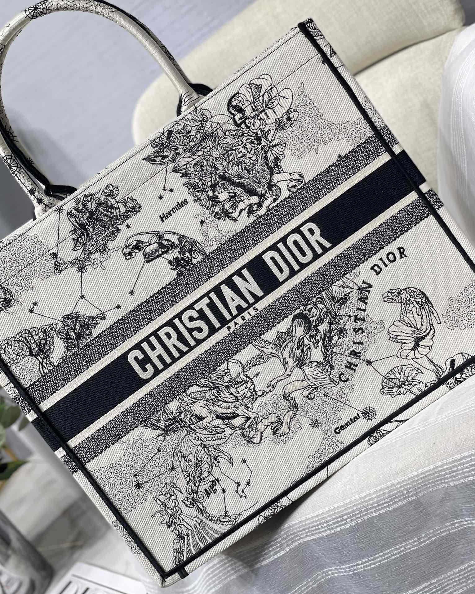 Dior Celestial Zodiac Constellation Print Canvas Tote Handbag