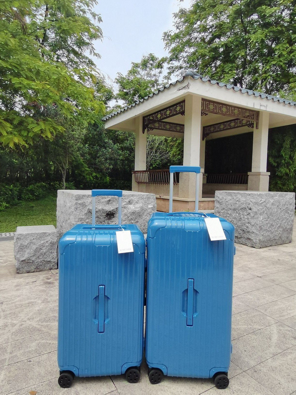 Blue Hardshell Spinner Luggage Trunk Set of 2 for Travel