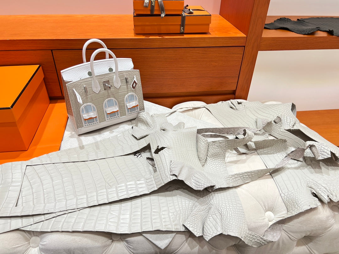 Hermès Birkin 20 Faubourg Neige Matte Alligator &amp; Epsom Leather White Handbag